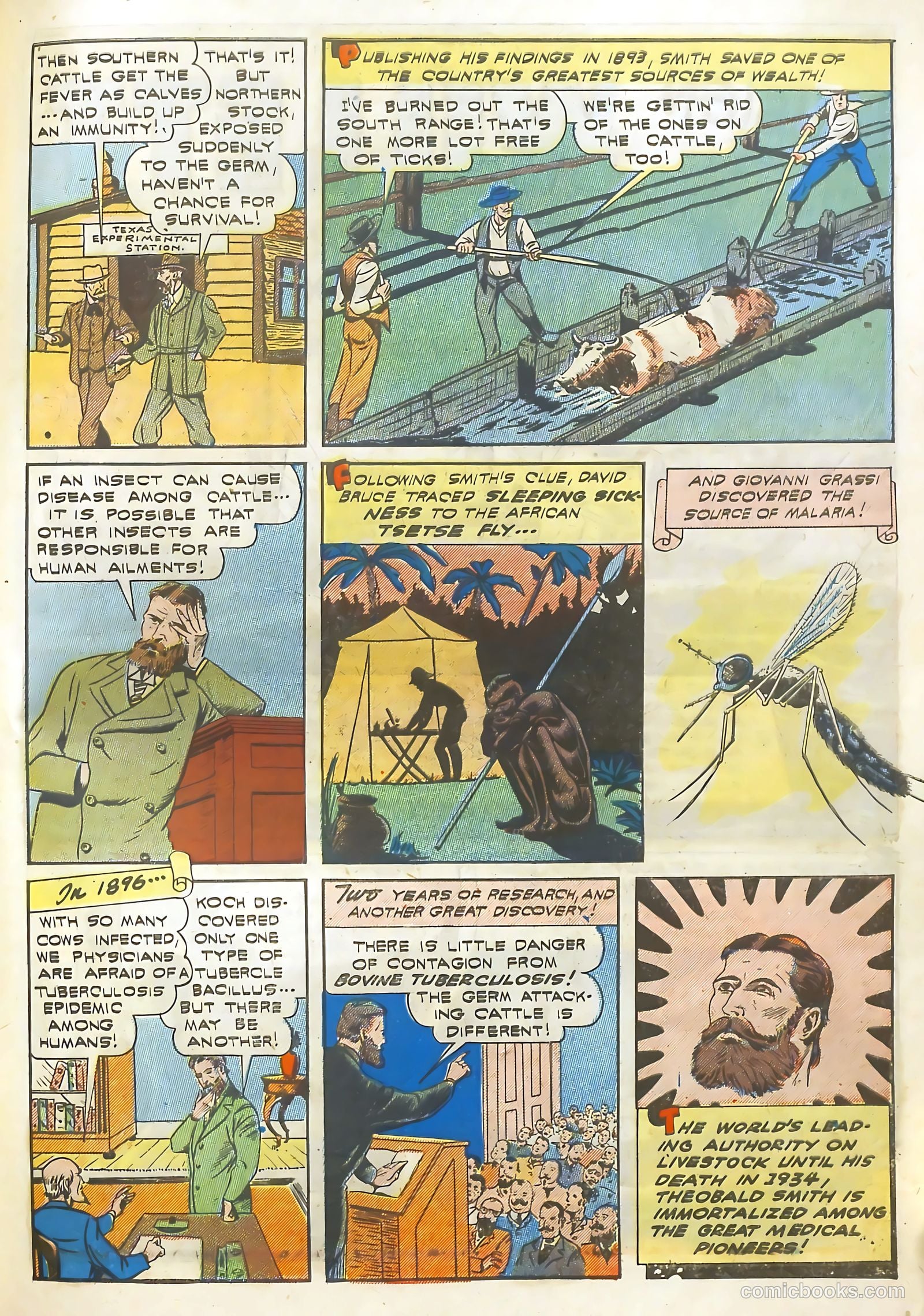 Real Life Comics #13 — page 56 of 61