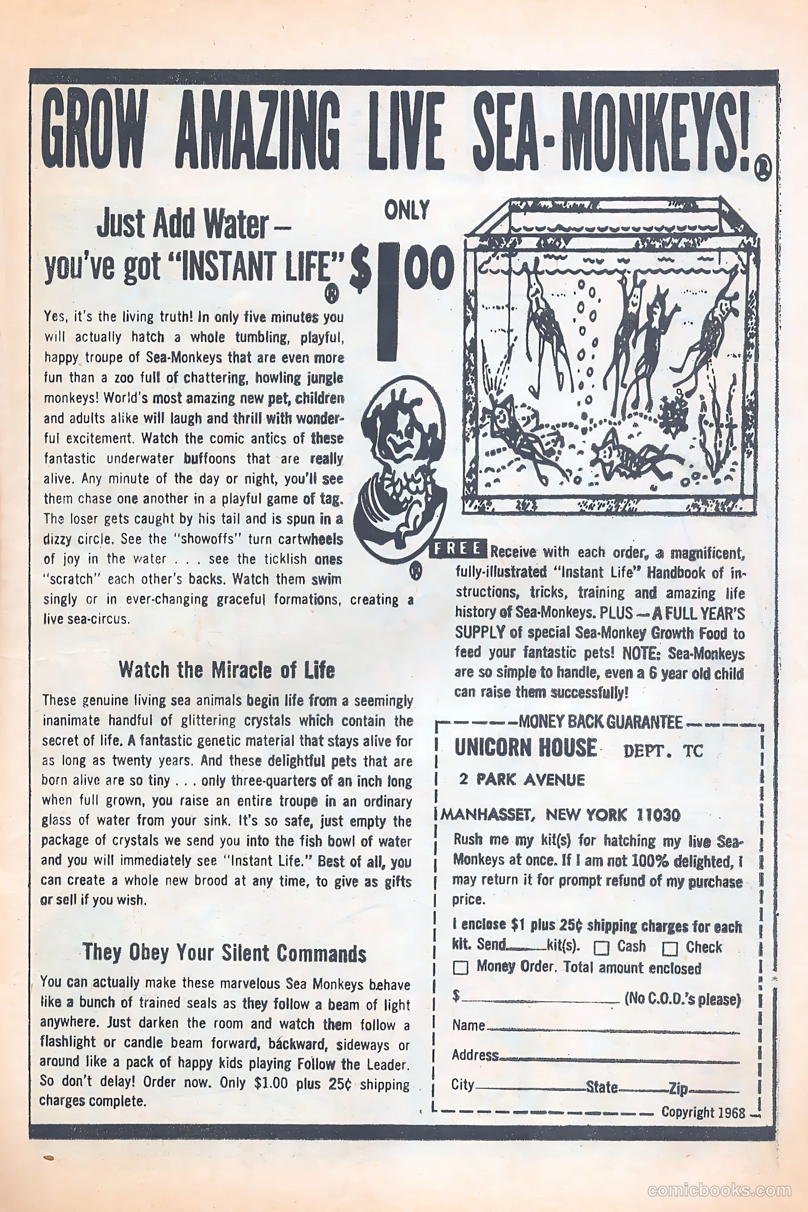 Tippy Teen Special Collector's Edition #1 — page 13 of 52