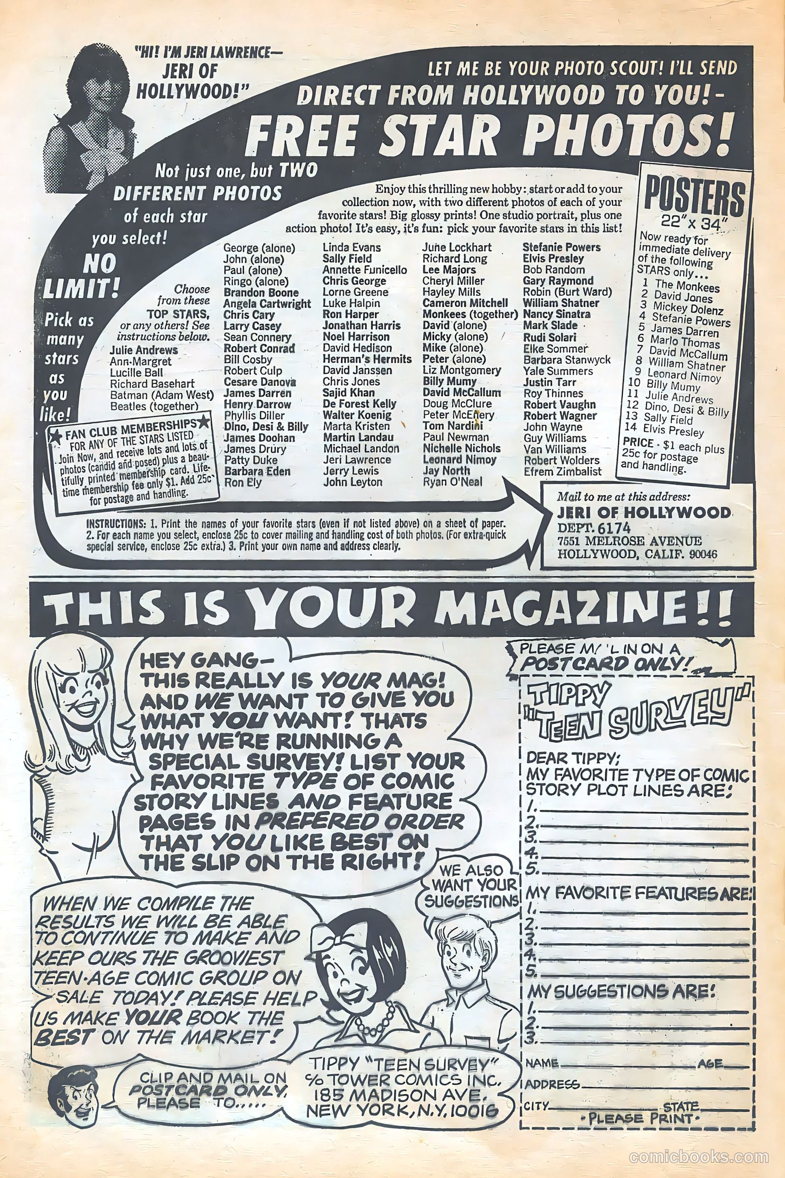Tippy Teen Special Collector's Edition #1 — page 44 of 52