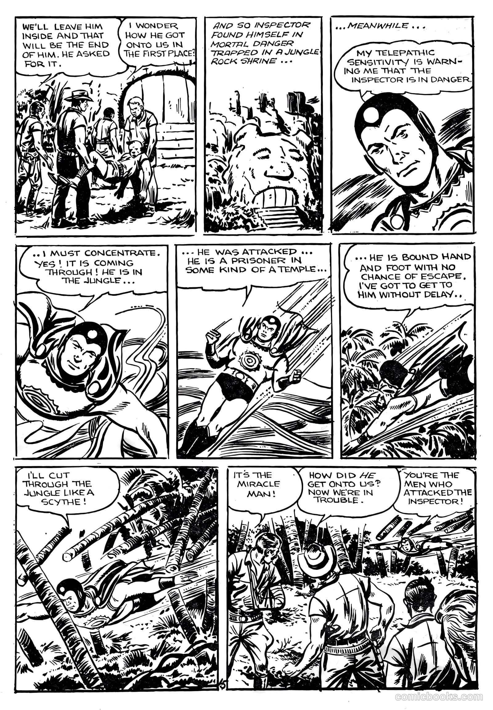 Miracleman #11 — page 17 of 36