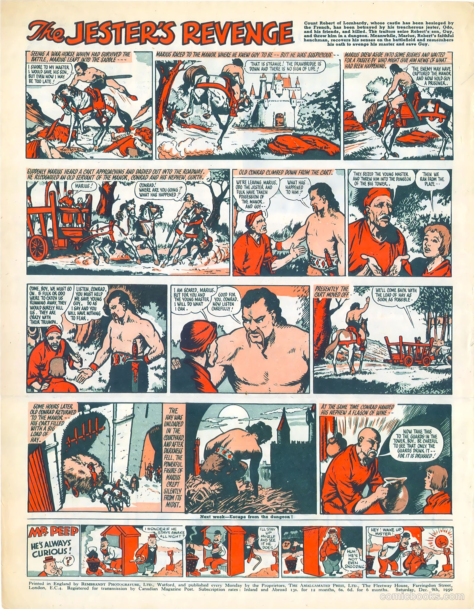Sun #96 — page 7 of 7