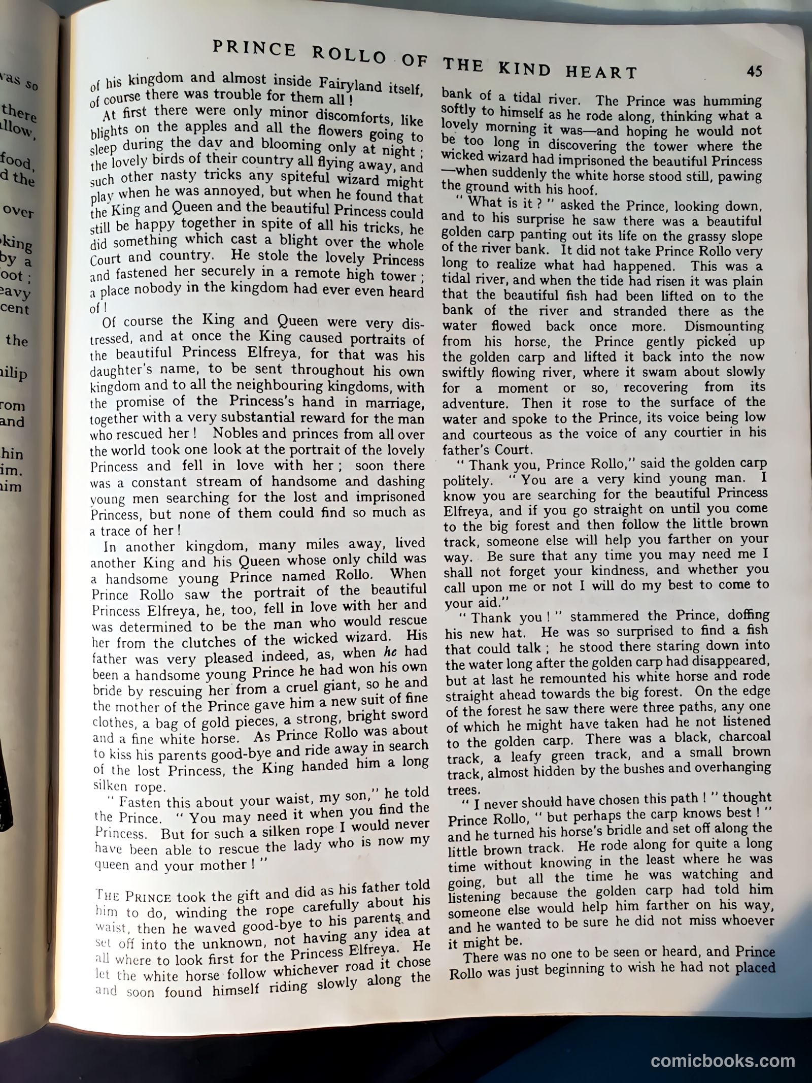 Fairies Album #1947 — page 45 of 96