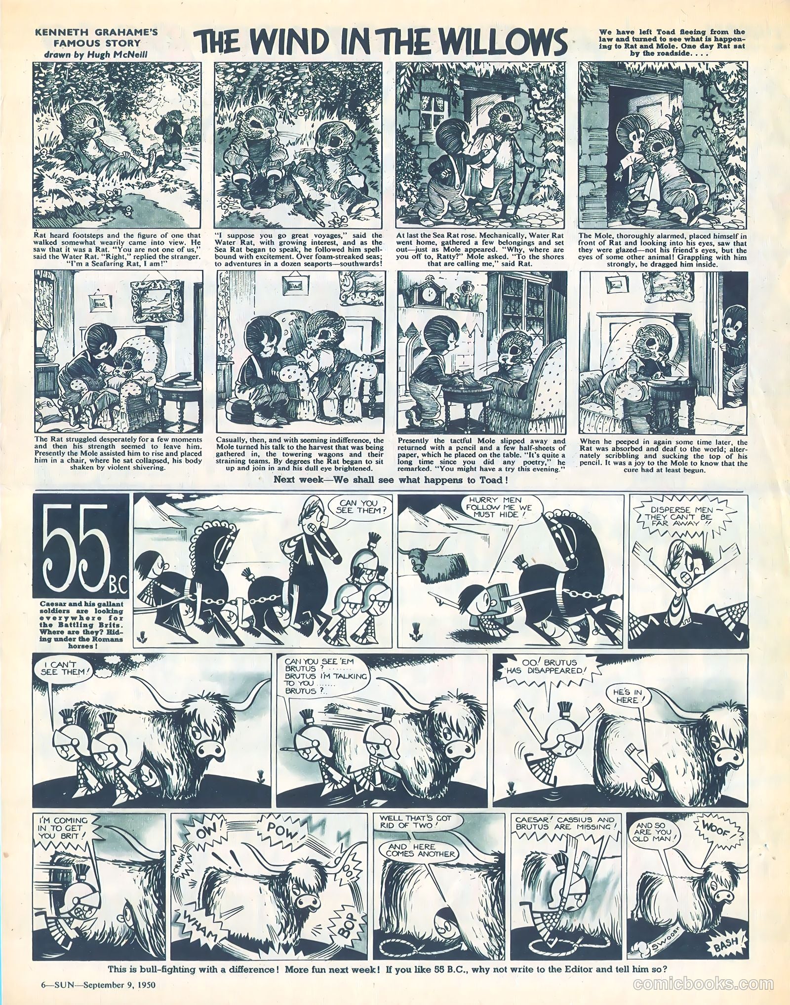 Sun #83 — page 5 of 7