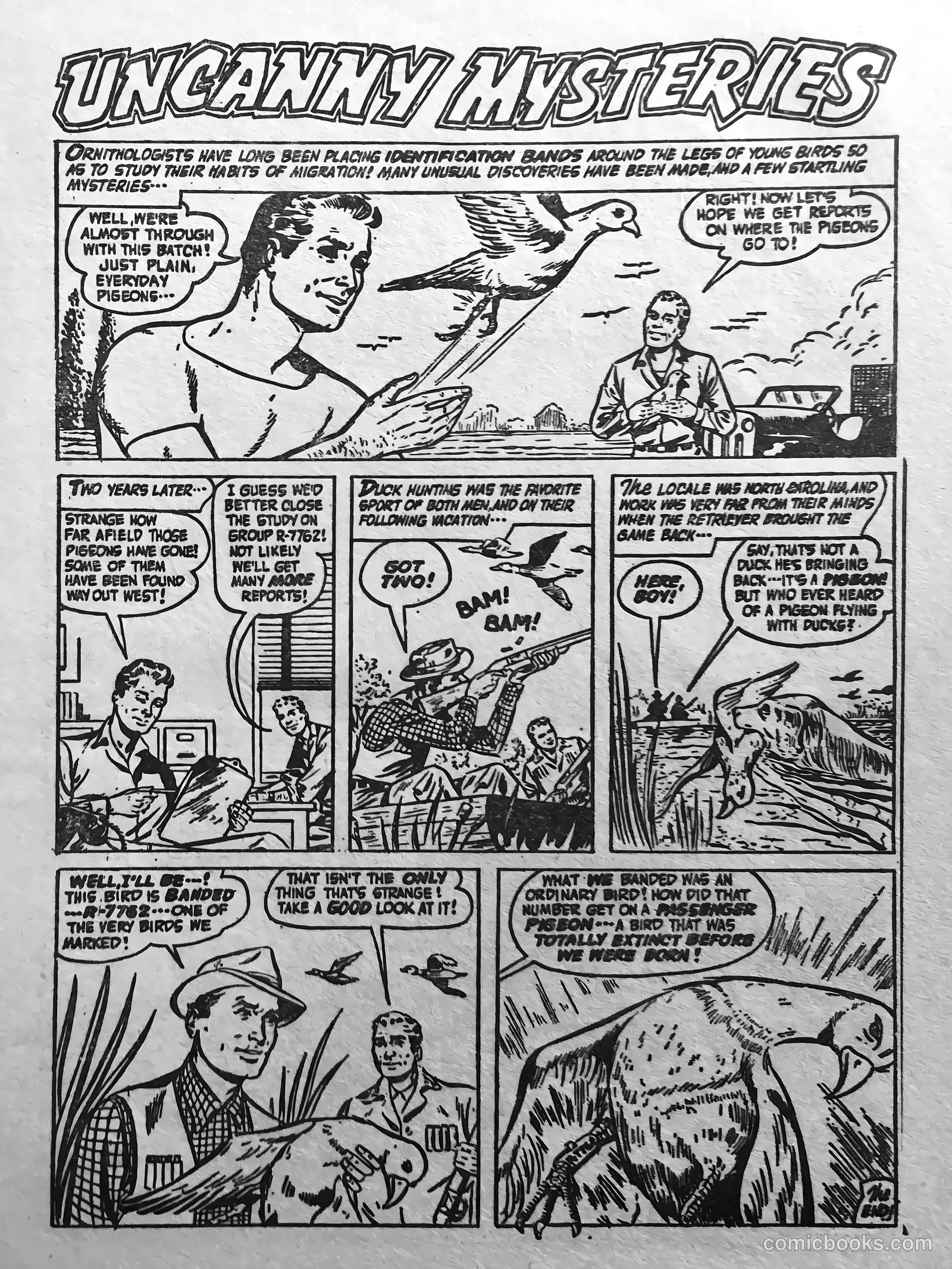 Eerie Tales #1 — page 51 of 68