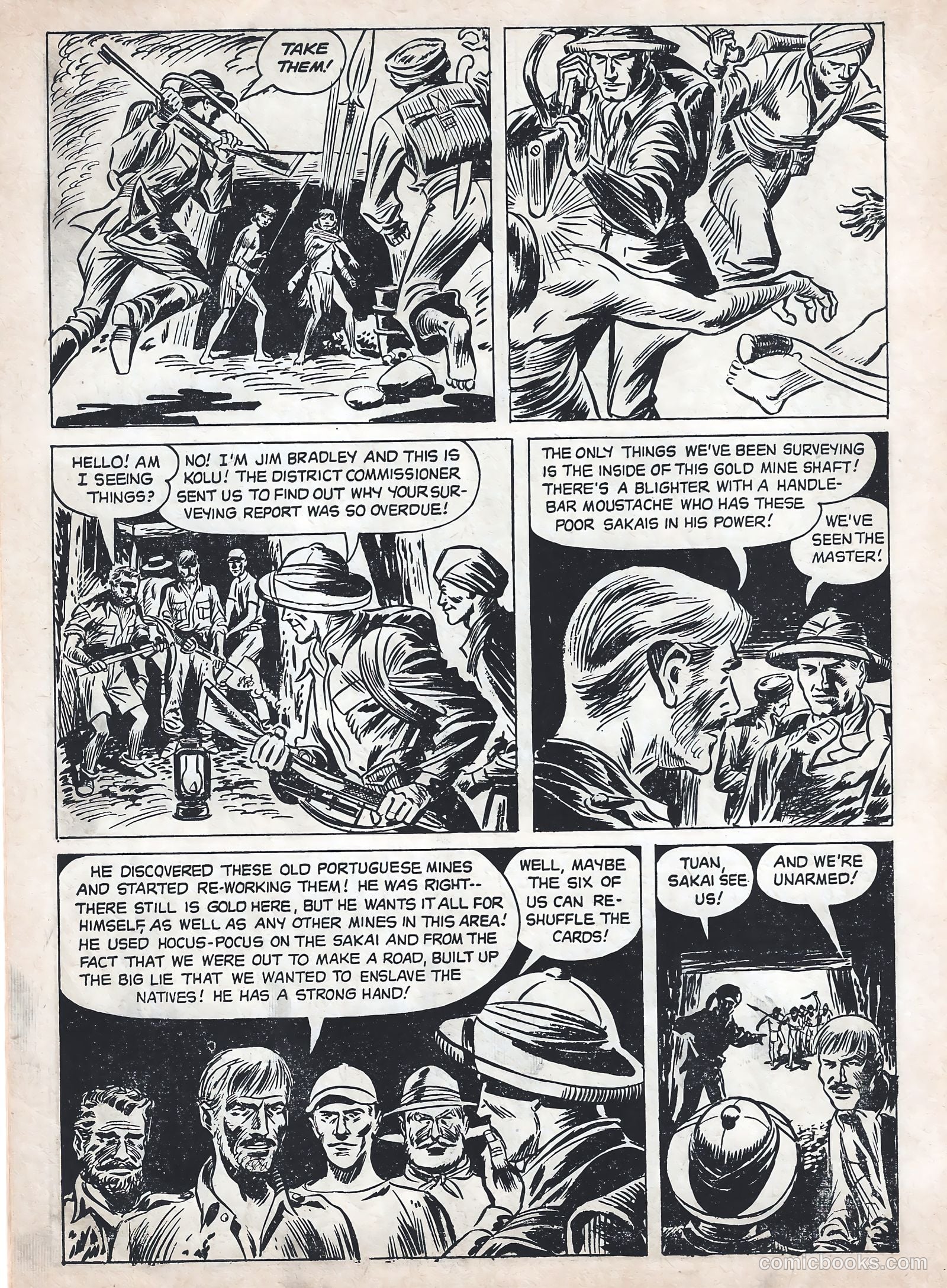 Jungle Jim #2 — page 22 of 28