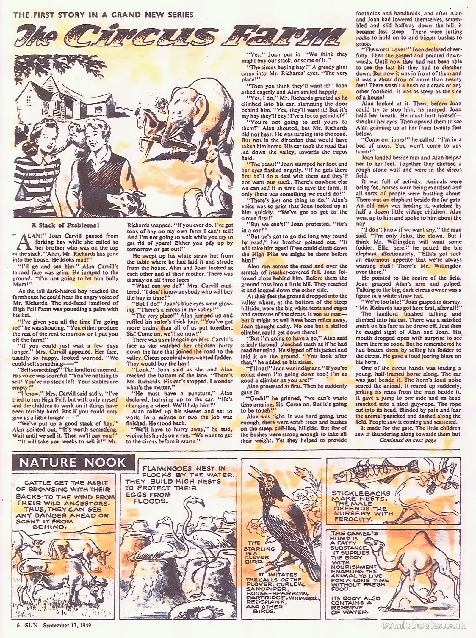 Sun #49 — page 6 of 8