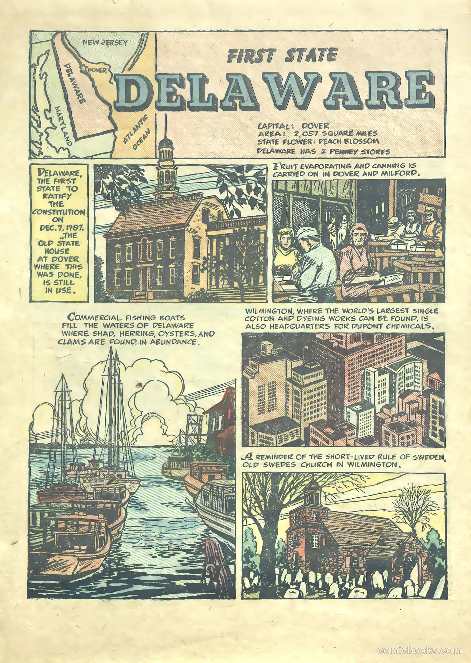 Our United States #1 — page 9 of 52