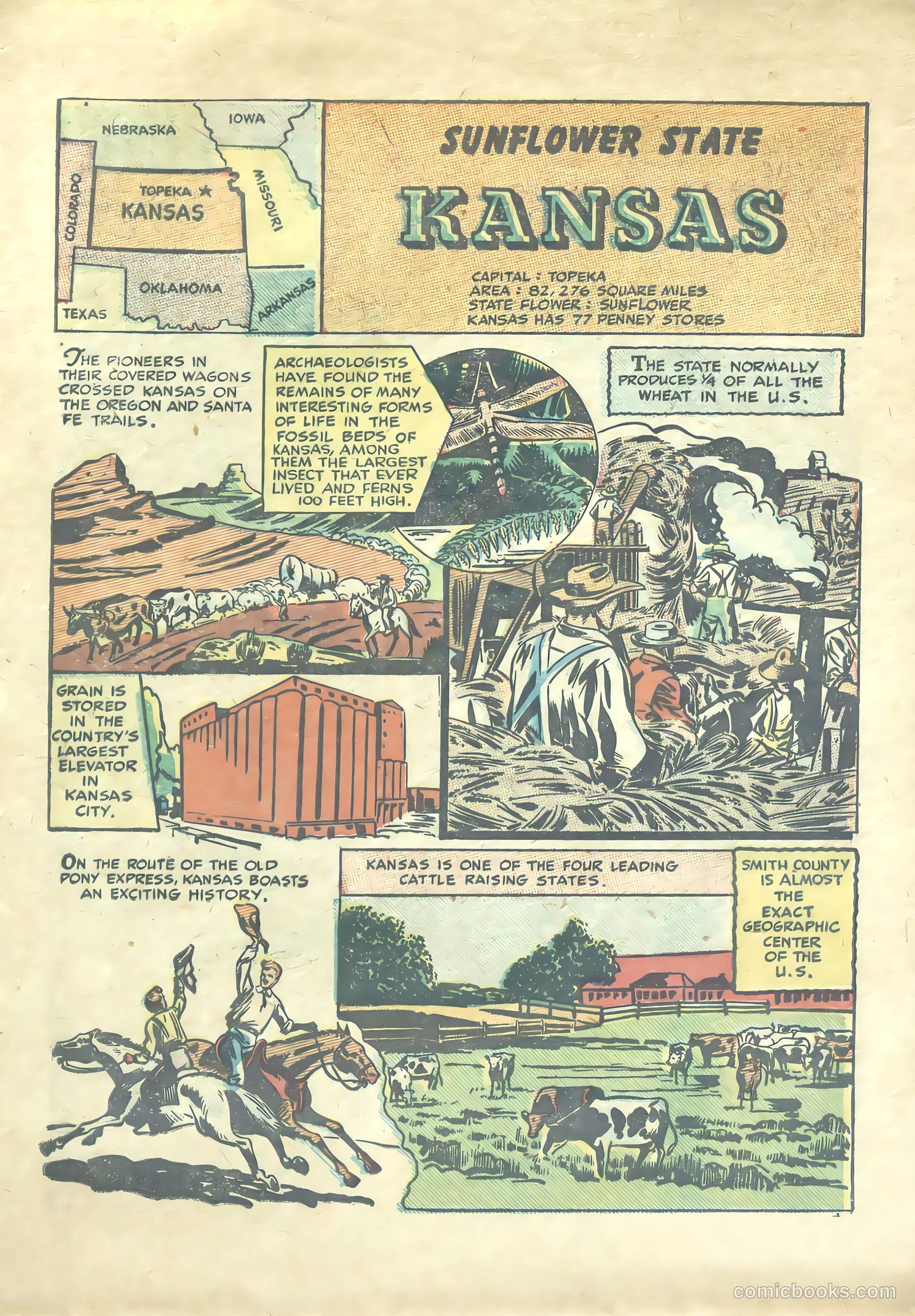 Our United States #1 — page 16 of 52