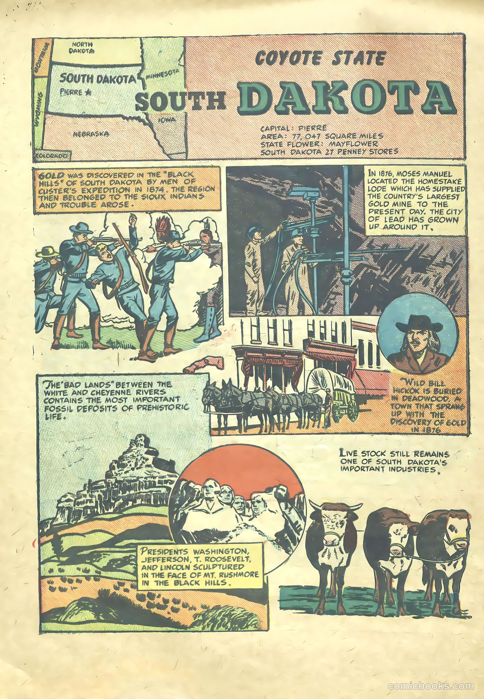 Our United States #1 — page 41 of 52
