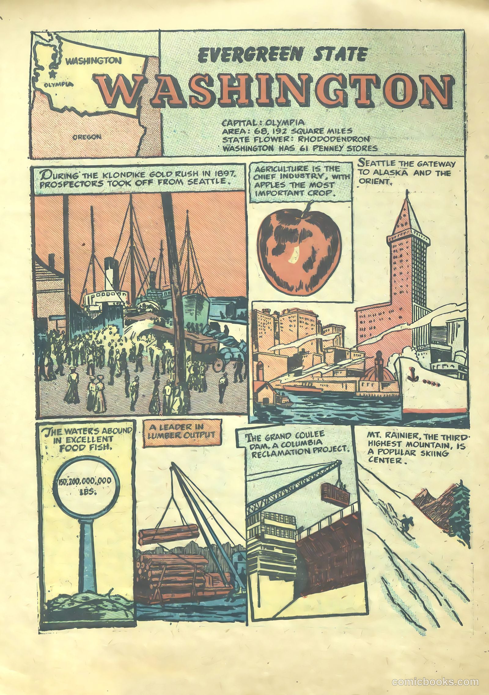 Our United States #1 — page 47 of 52