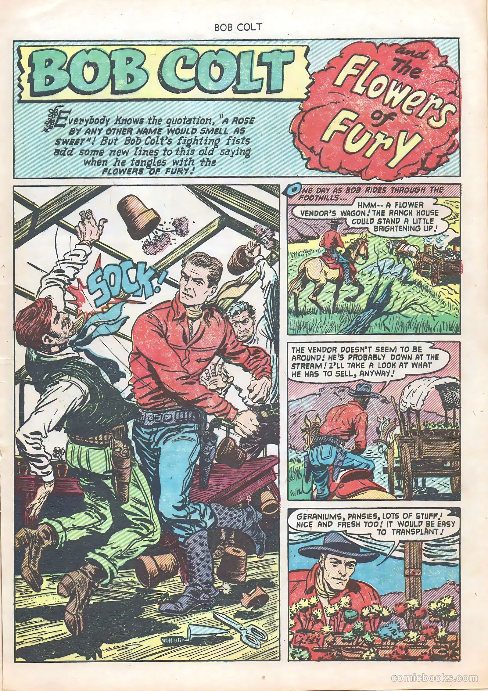 Bob Colt #10 — page 17 of 36