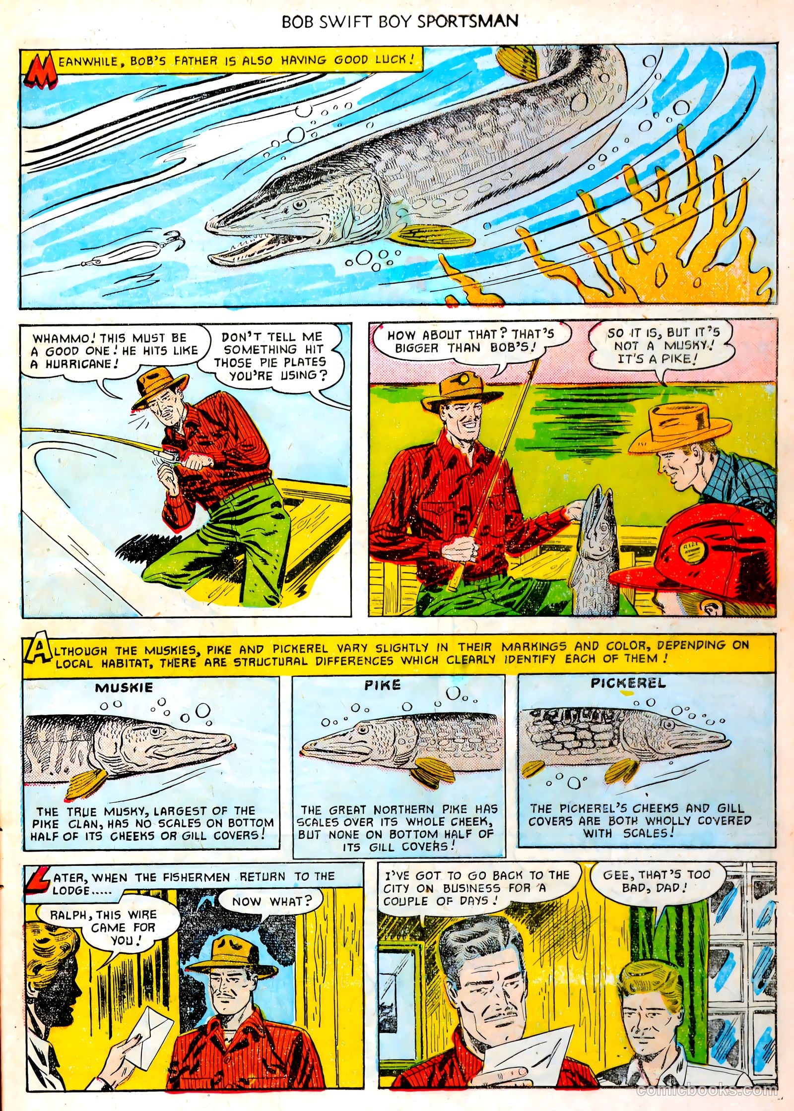 Bob Swift, Boy Sportsman #2 — page 7 of 35