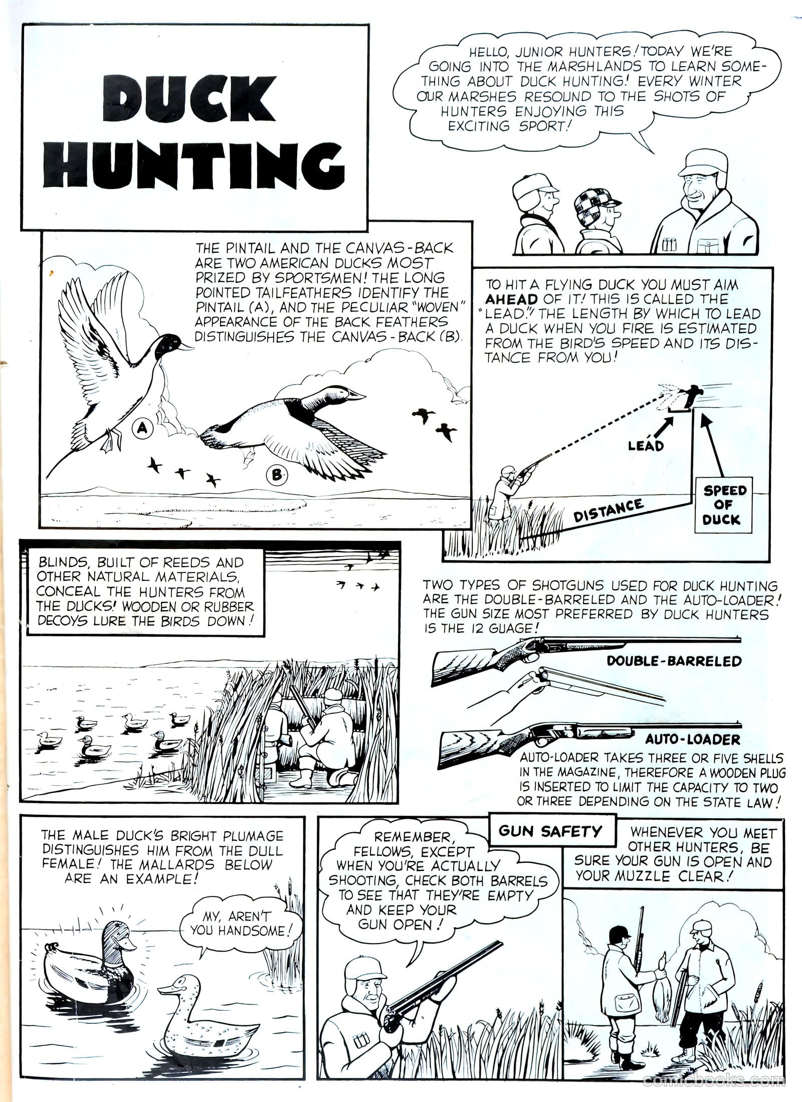 Bob Swift, Boy Sportsman #2 — page 34 of 35