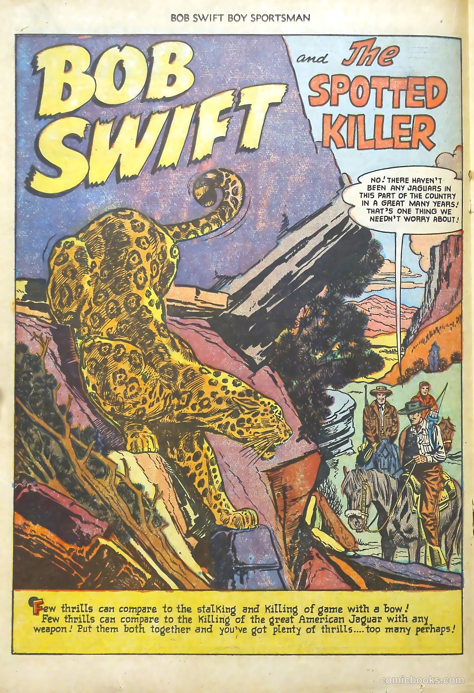 Bob Swift, Boy Sportsman #5 — page 18 of 37