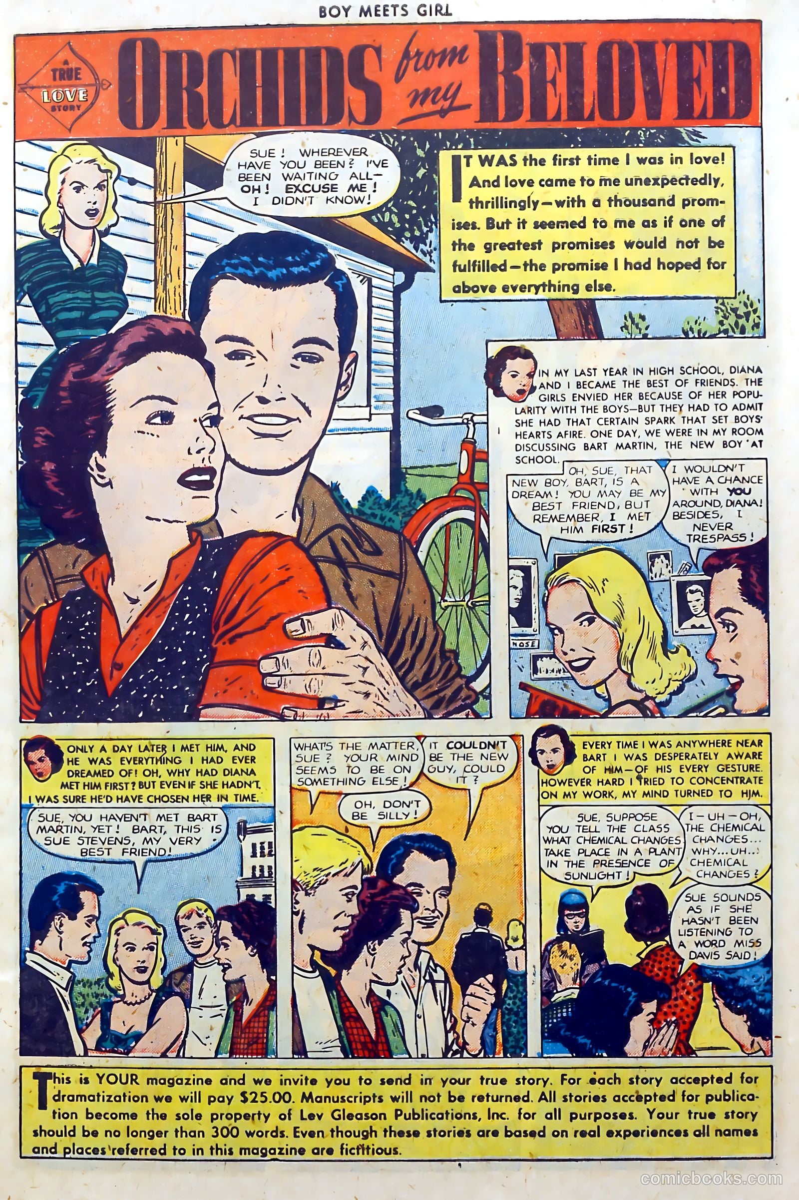 Boy Meets Girl #1 — page 3 of 53