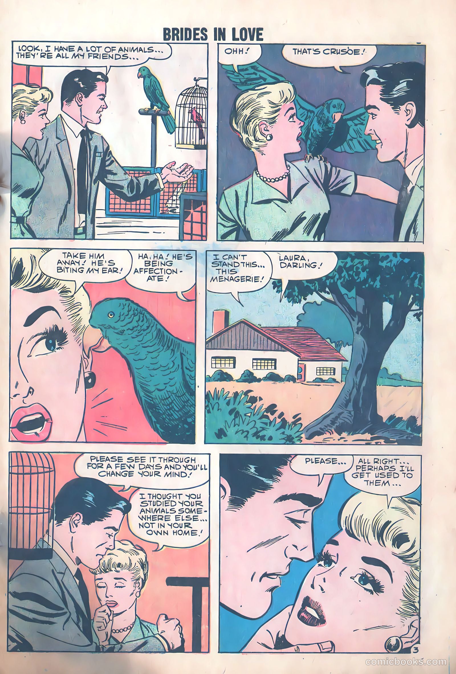 Brides in Love #12 — page 5 of 36