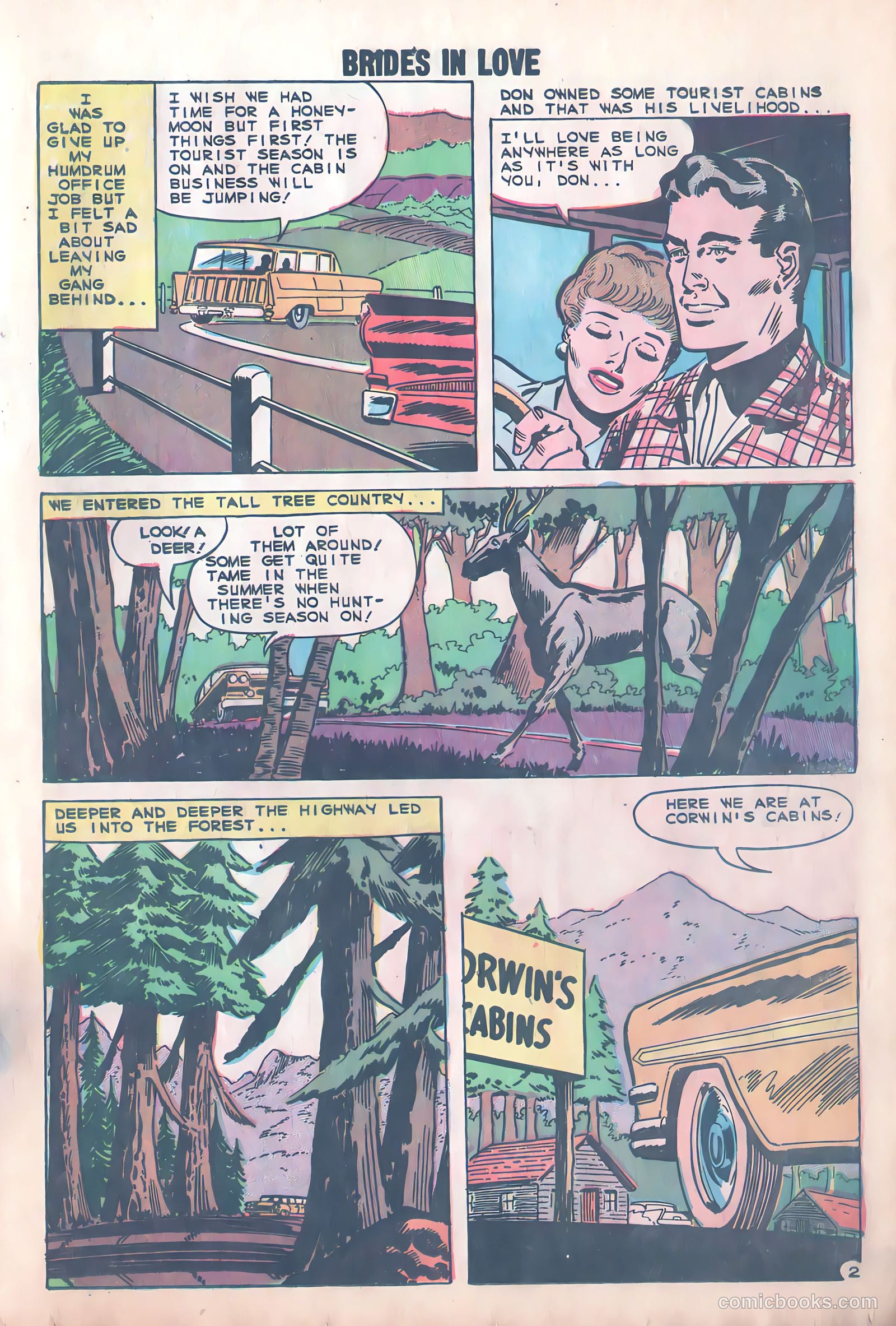 Brides in Love #12 — page 19 of 36