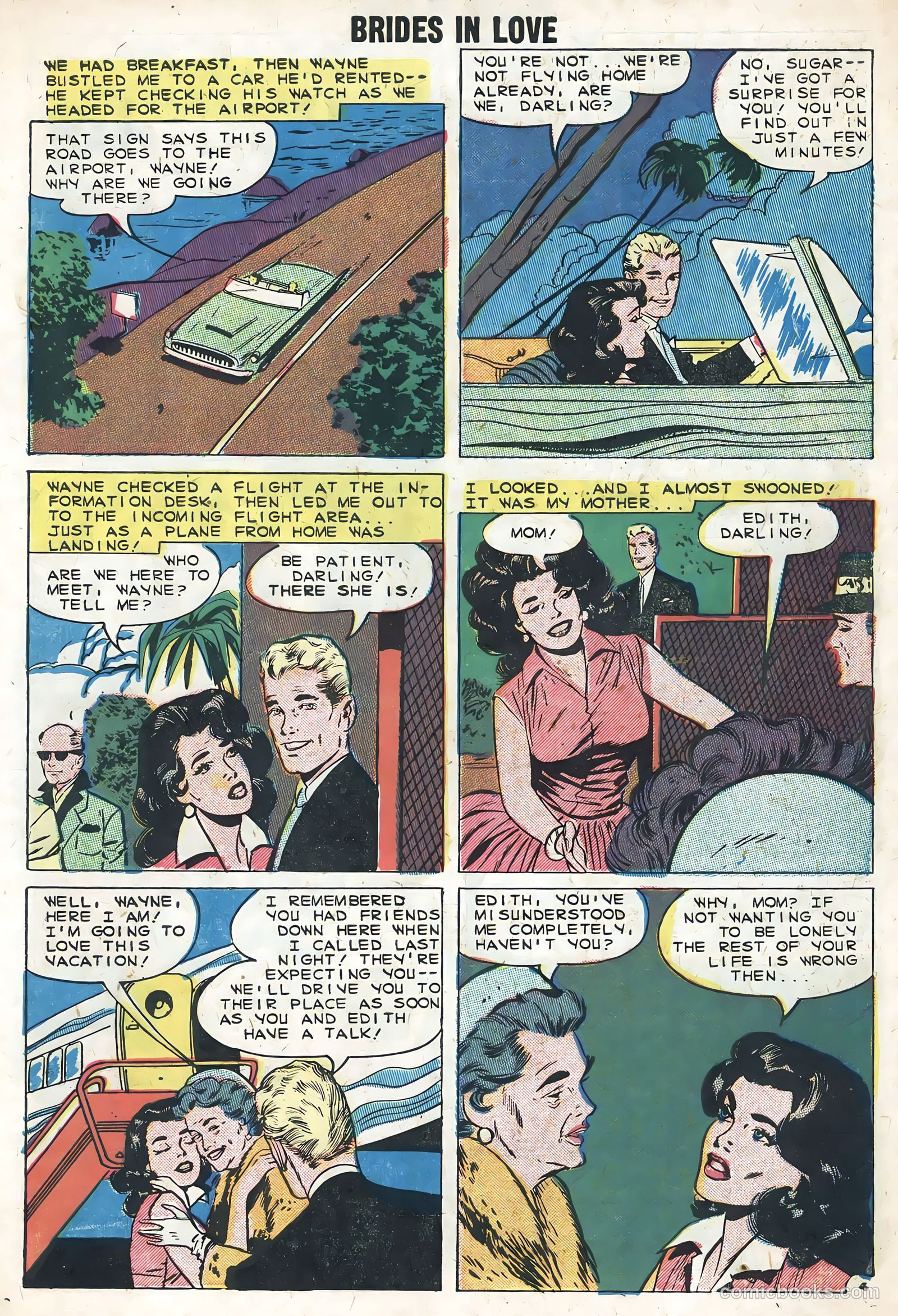 Brides in Love #14 — page 7 of 36
