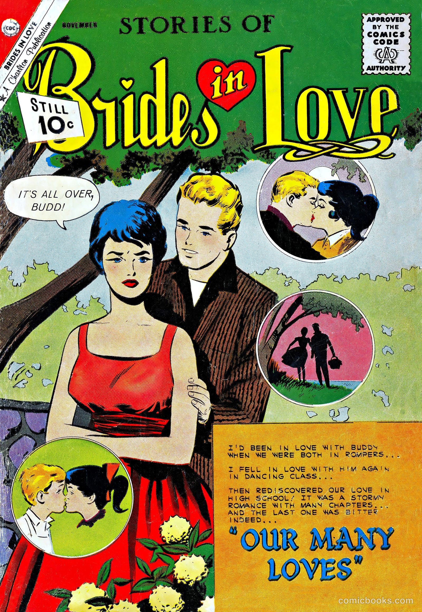 Brides in Love #27 — page 1 of 37