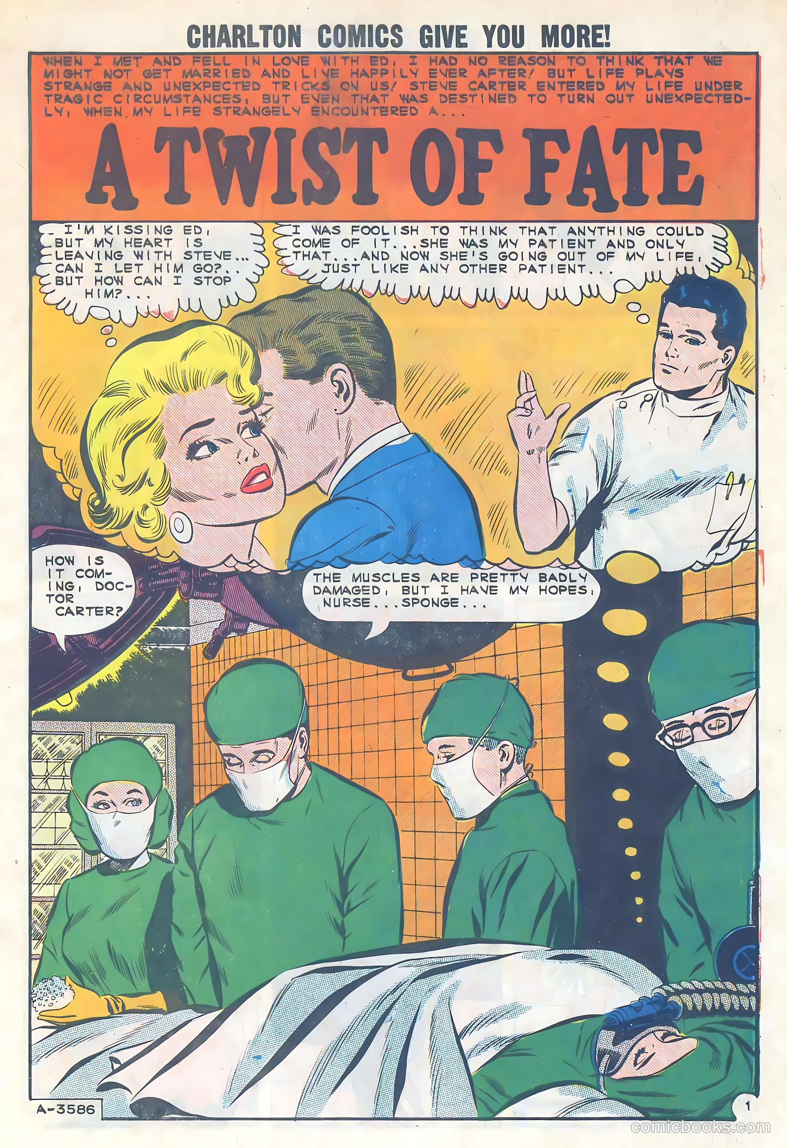 Brides in Love #42 — page 3 of 36