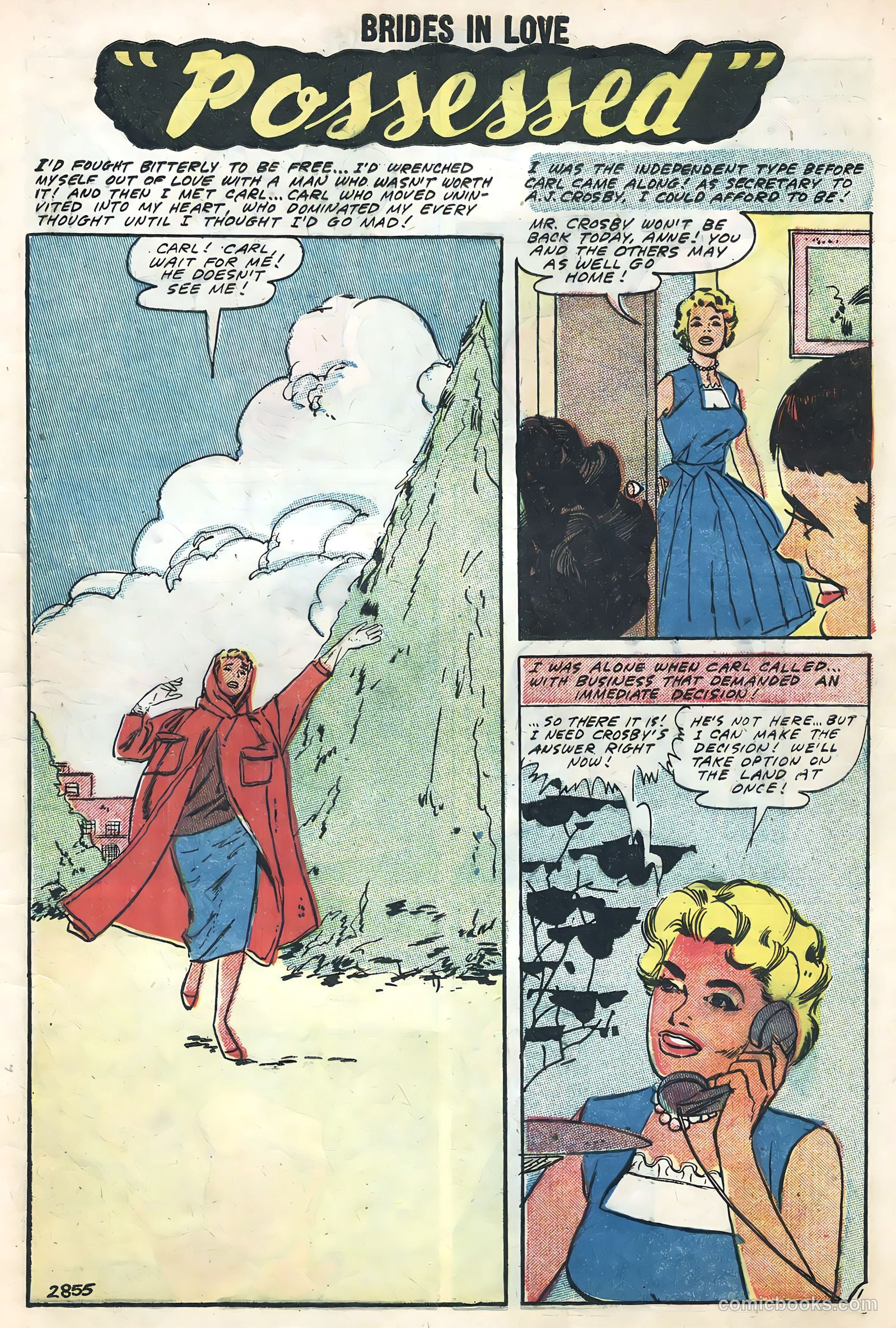 Brides in Love #8 — page 9 of 36