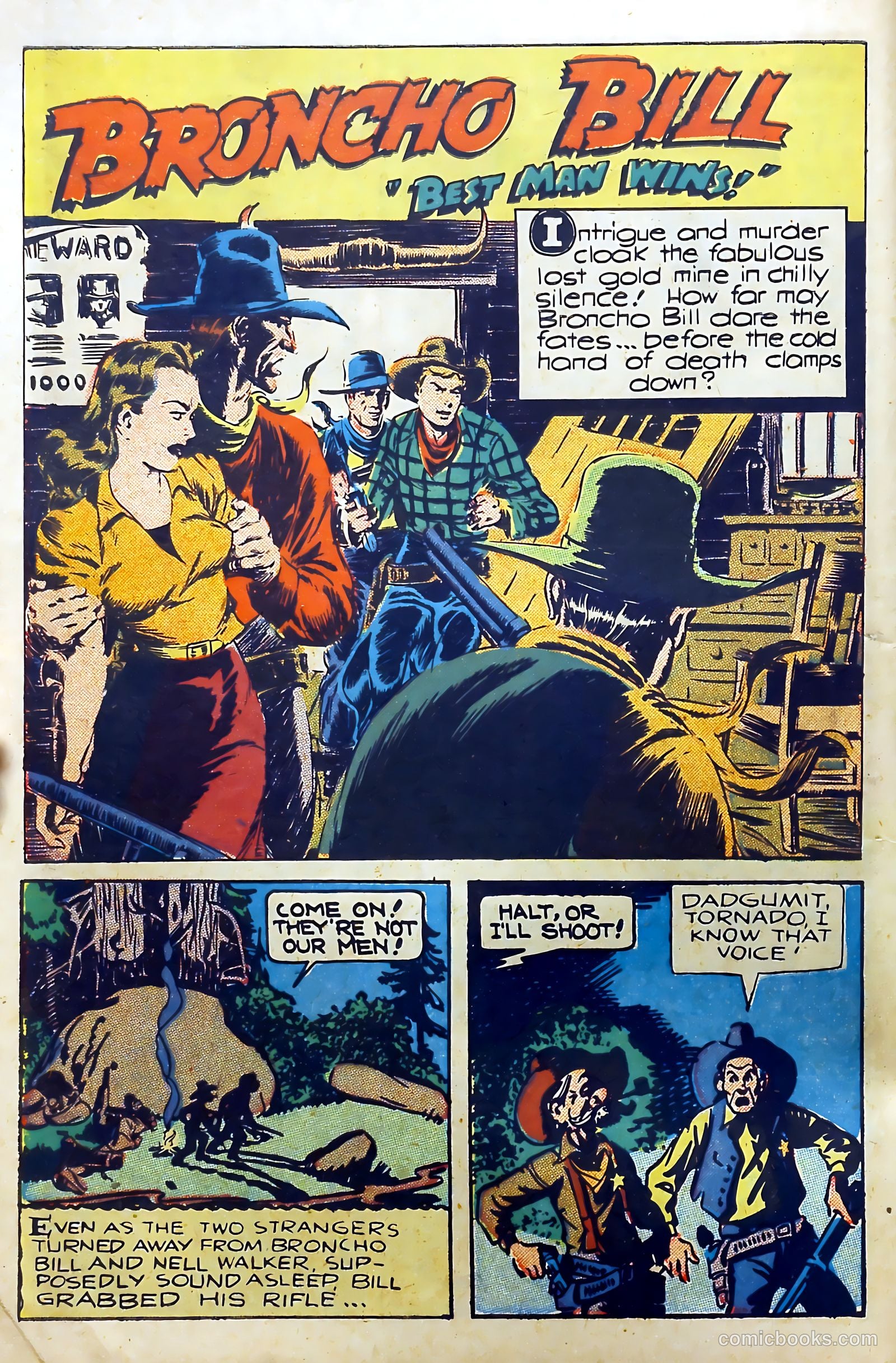 Broncho Bill #7 — page 14 of 52