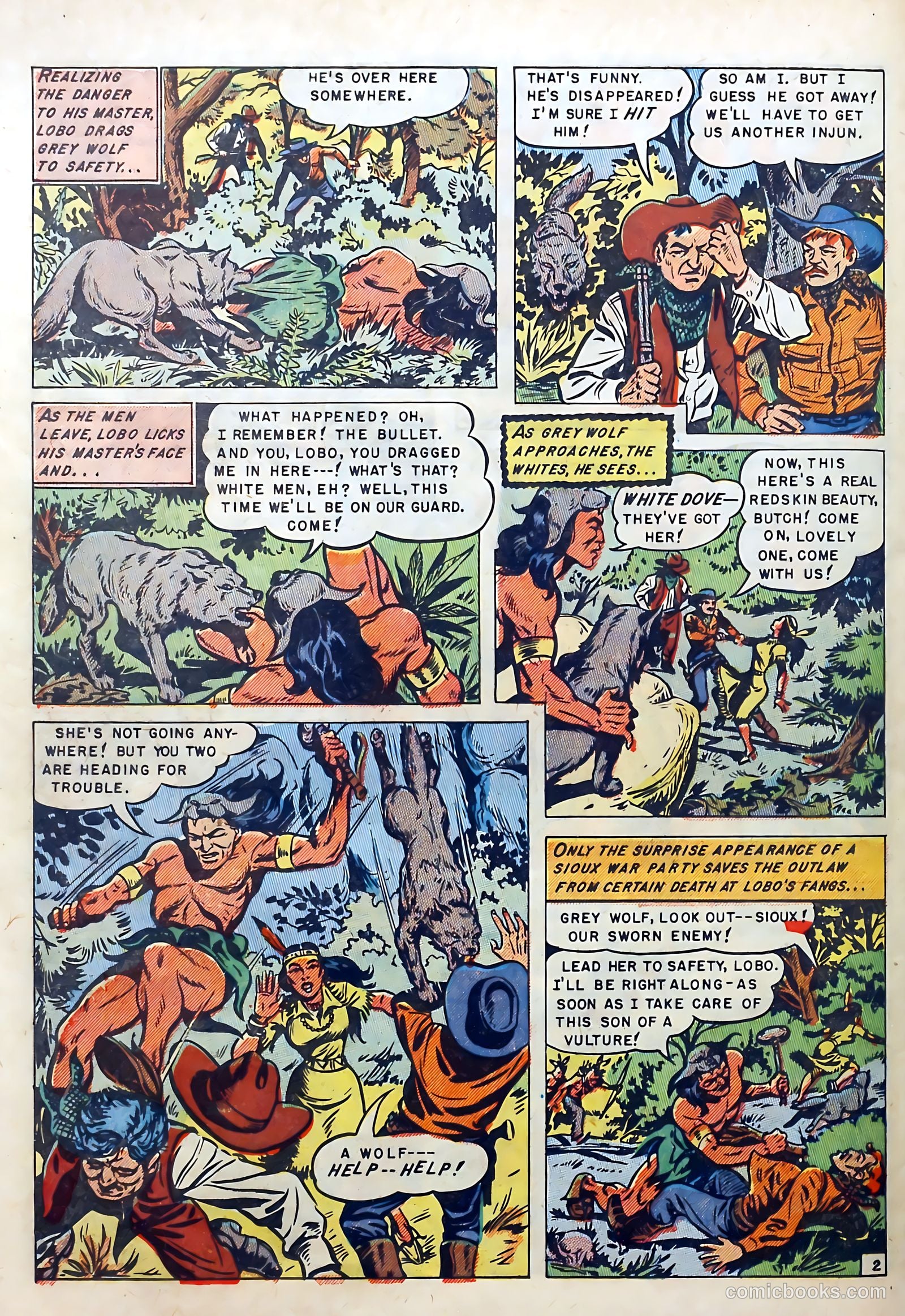Buffalo Bill #6 — page 28 of 36
