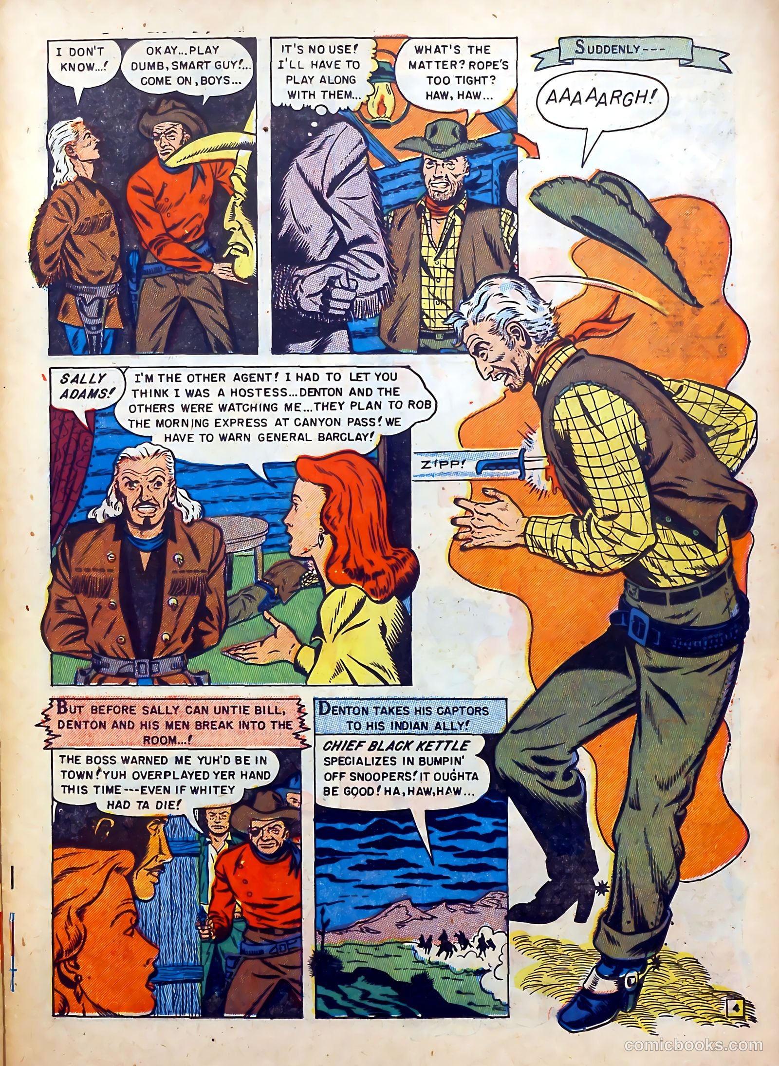 Buffalo Bill #7 — page 23 of 37