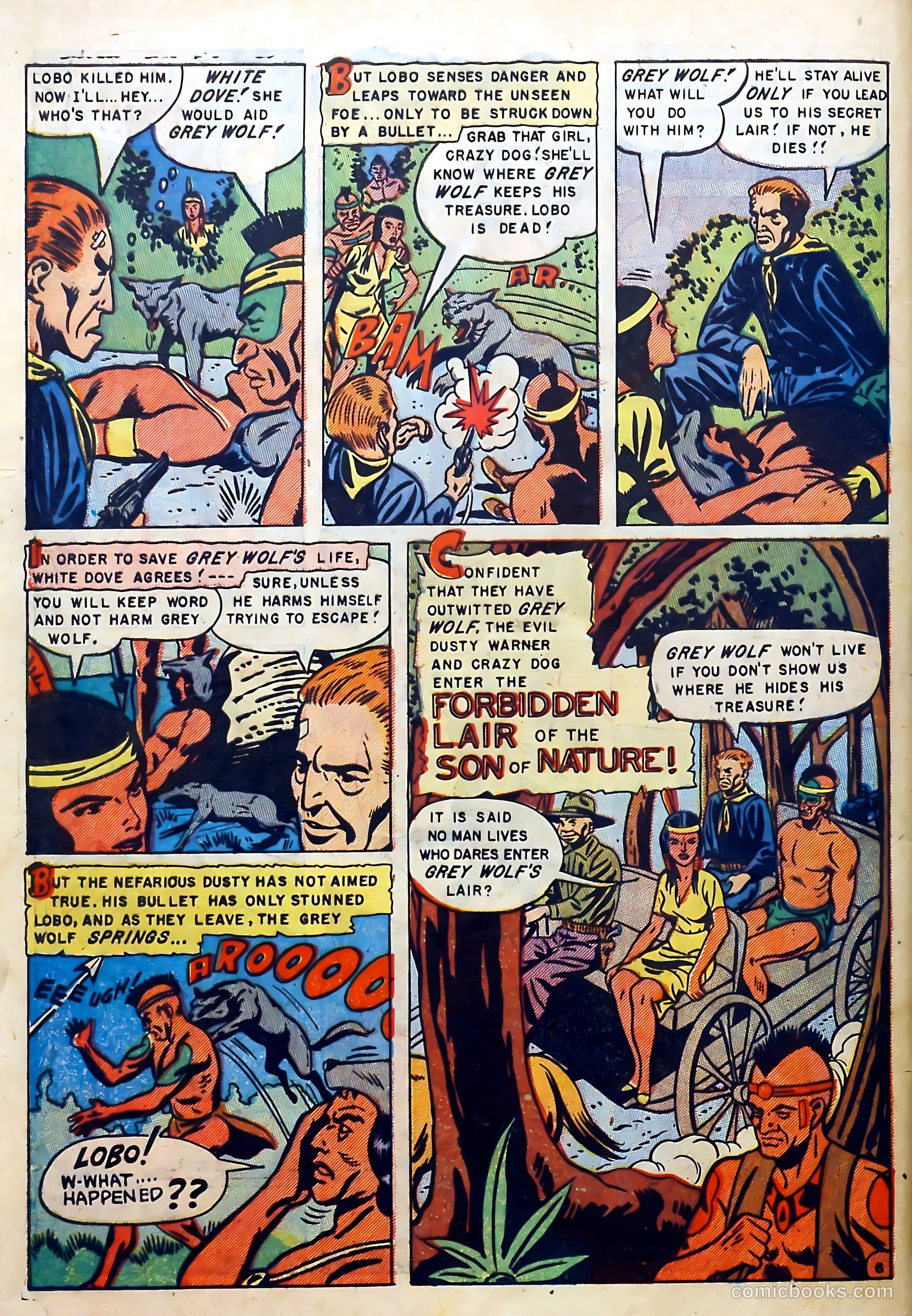 Buffalo Bill #8 — page 32 of 37