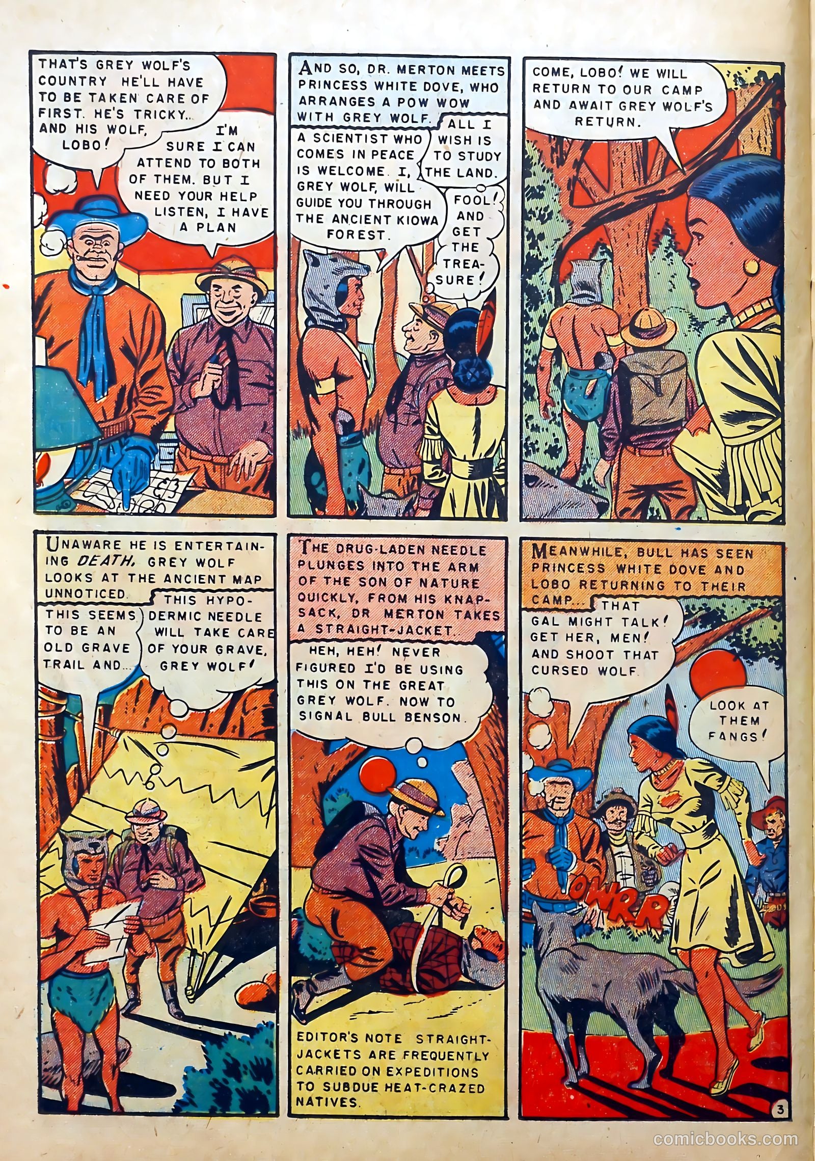 Buffalo Bill #9 — page 22 of 36