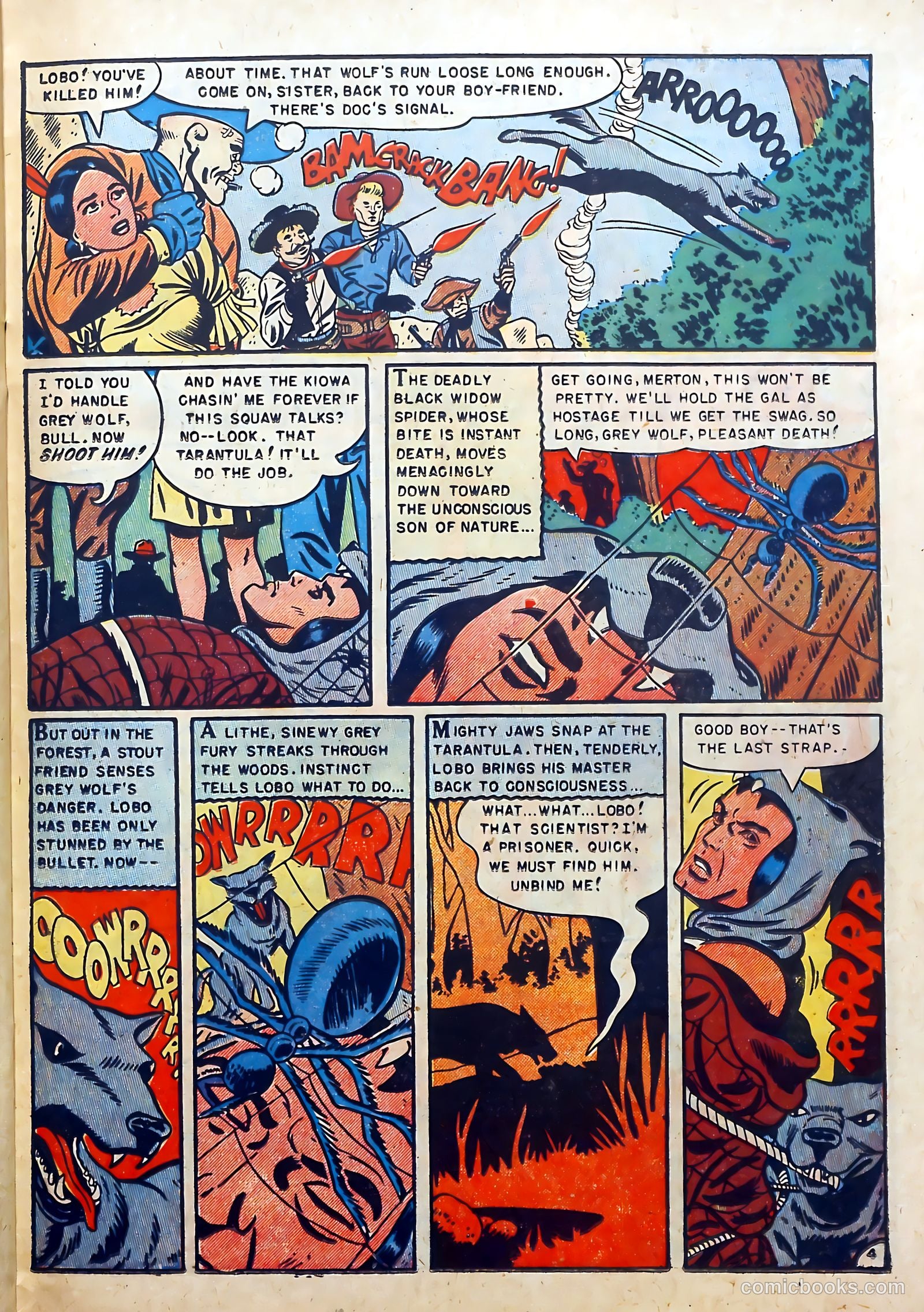 Buffalo Bill #9 — page 23 of 36