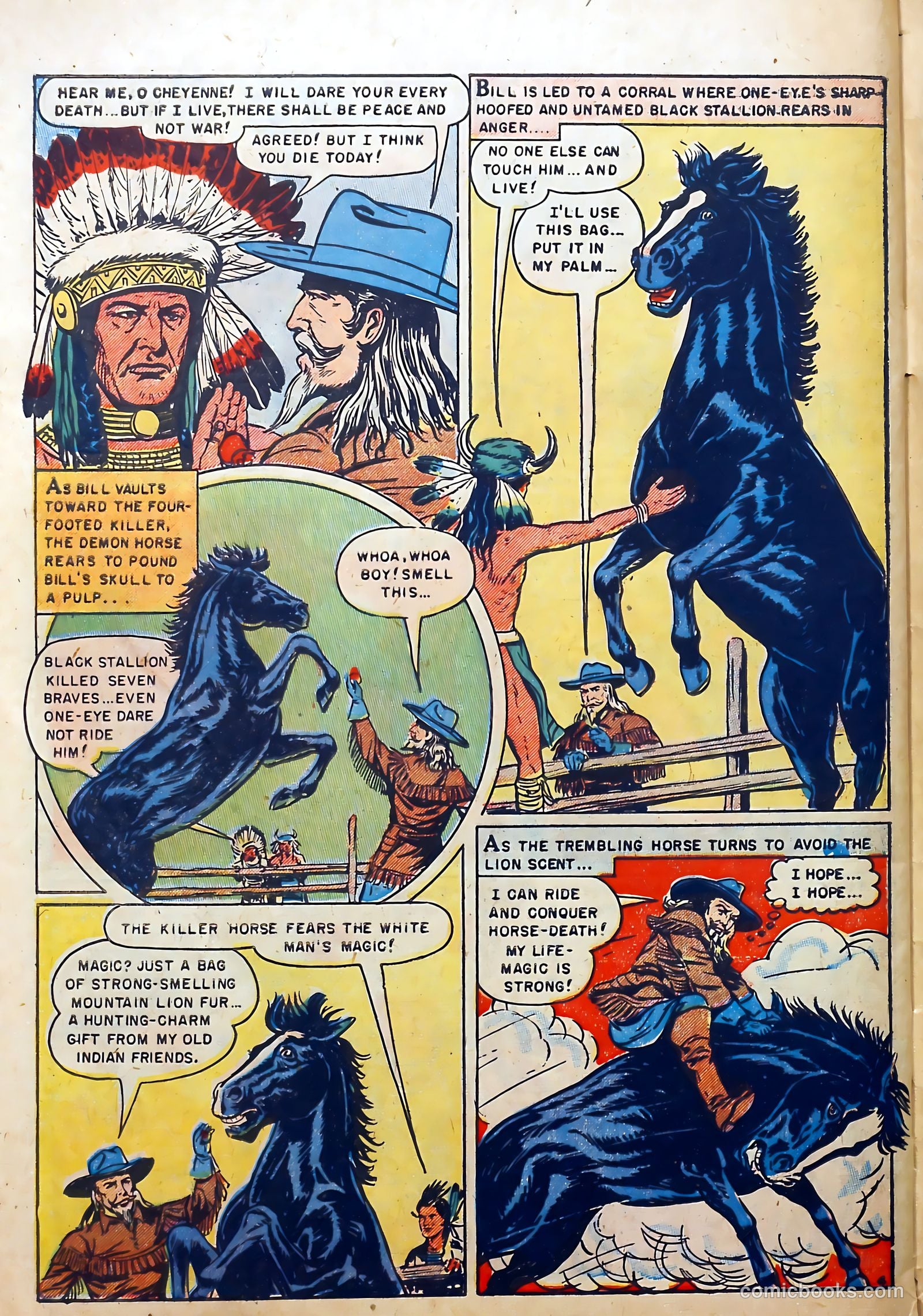 Buffalo Bill #9 — page 30 of 36