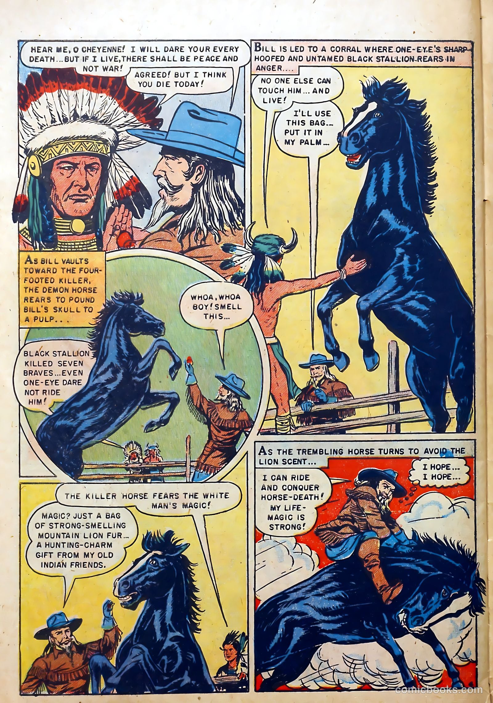 Buffalo Bill #9 — page 30 of 37