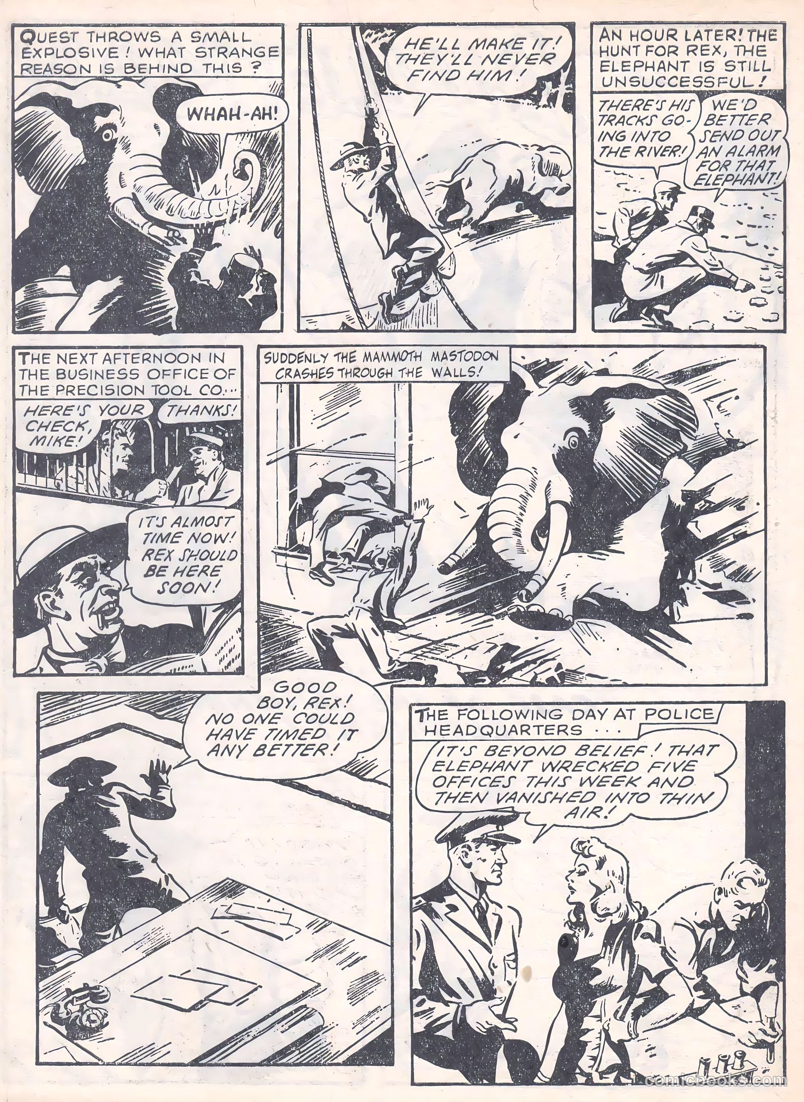 Bullet #10 — page 12 of 24