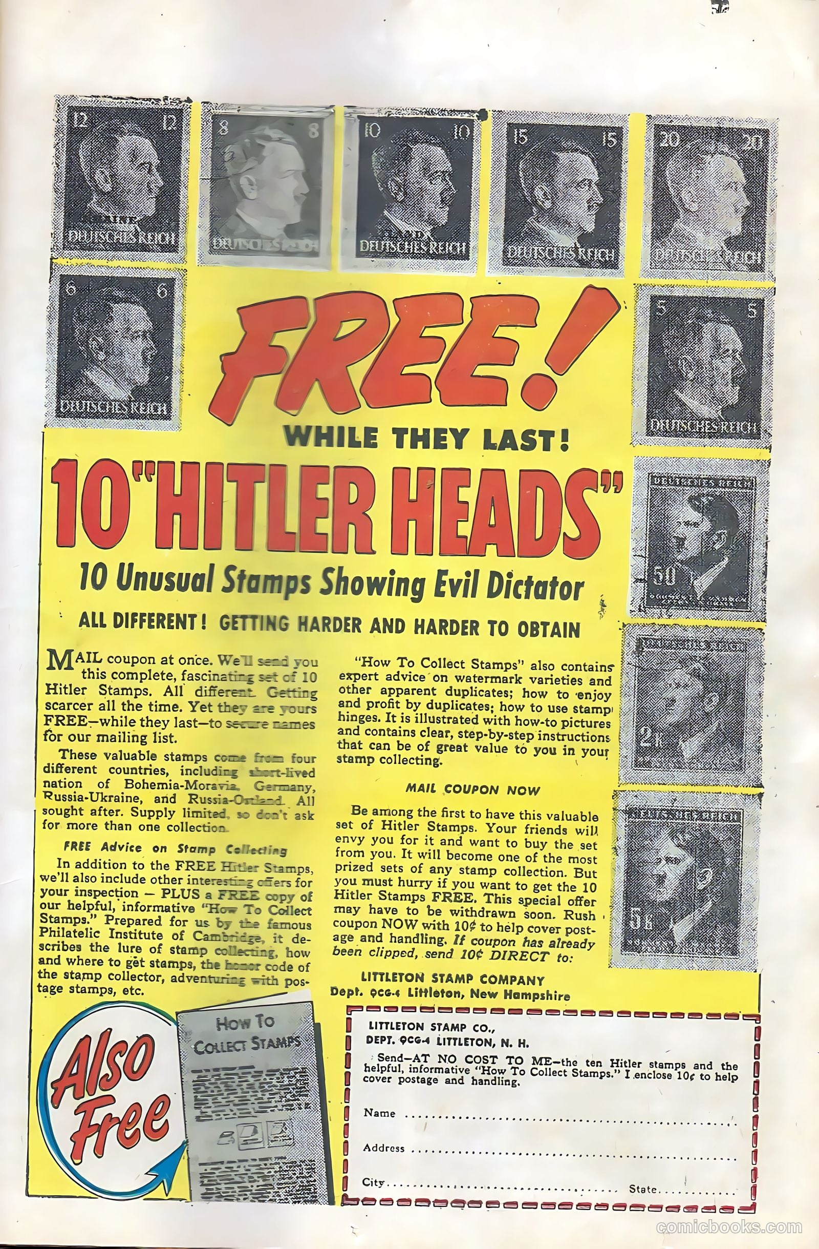 Buster Bear #3 — page 25 of 36