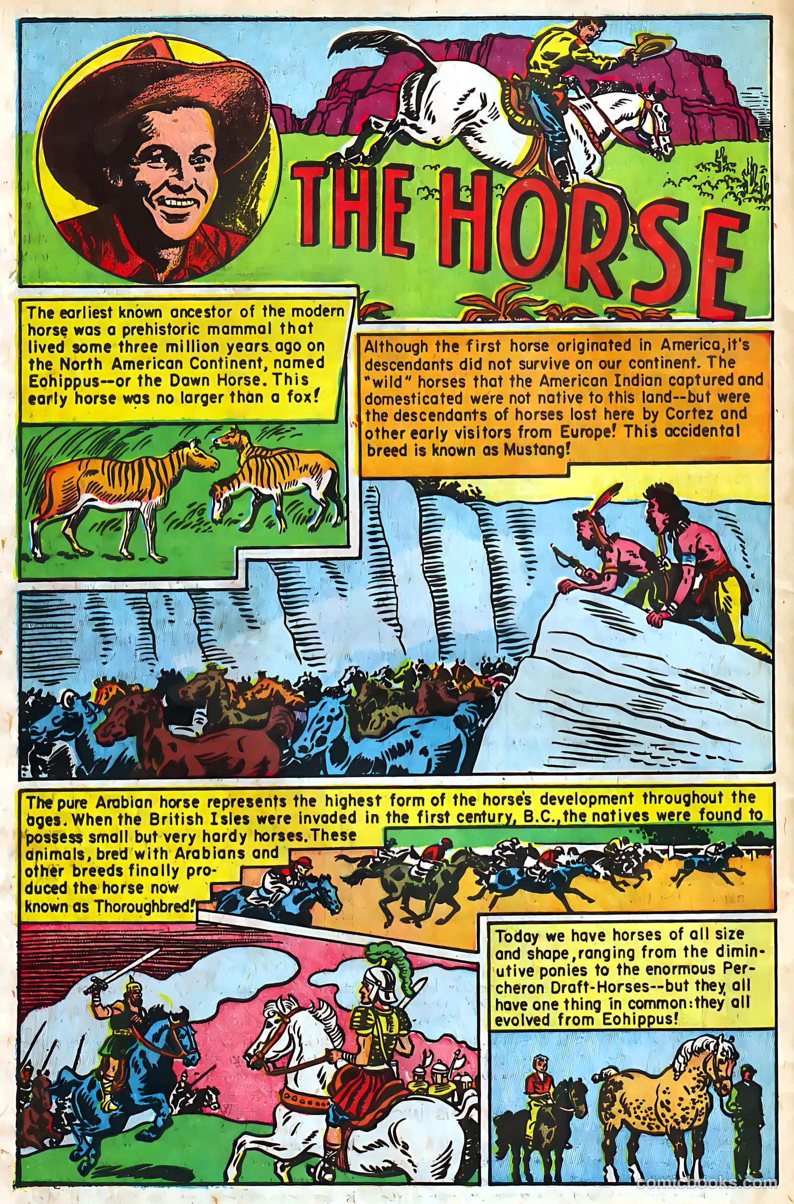 Buster Crabbe #2 — page 35 of 37