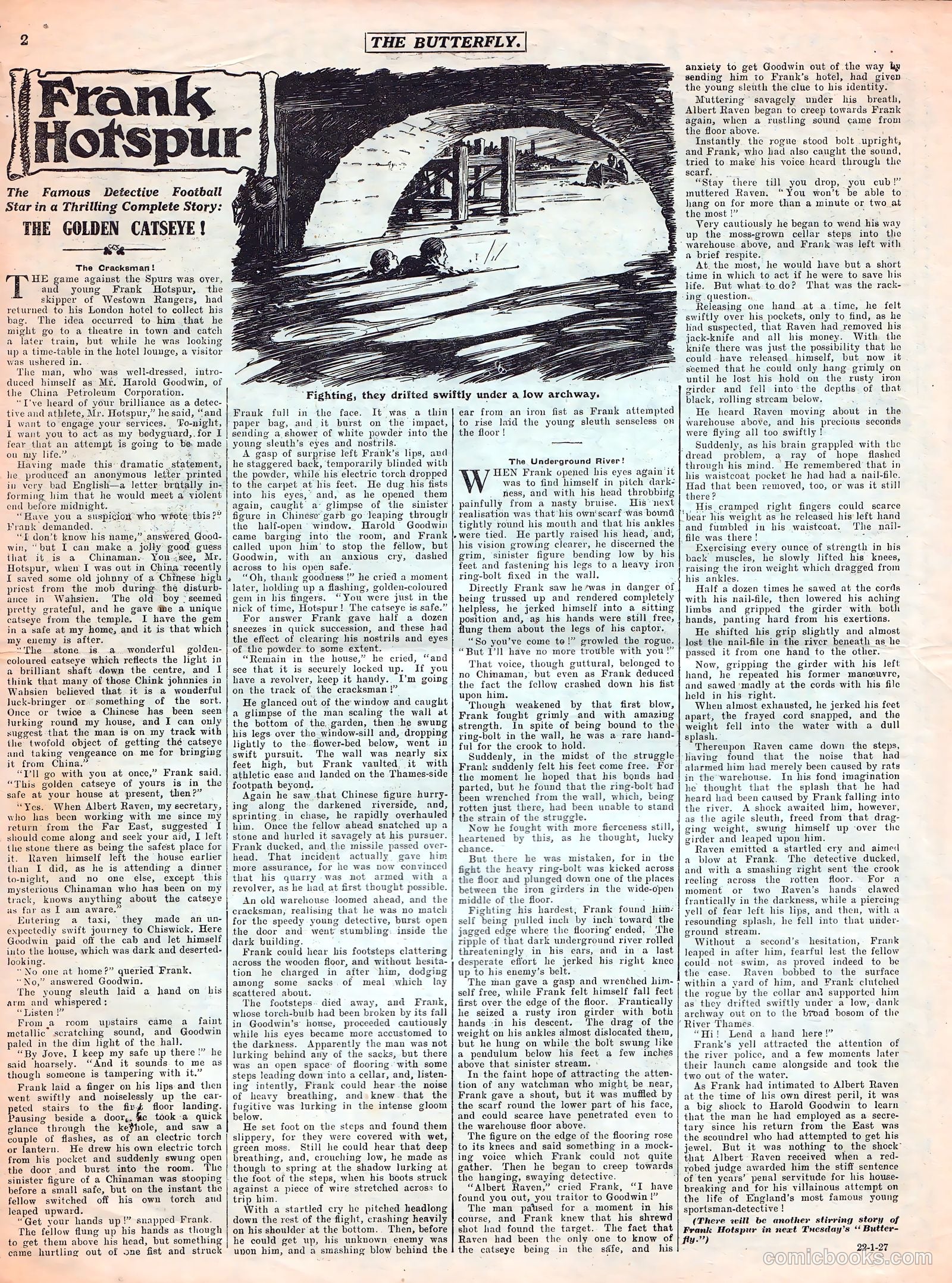 Butterfly #511 — page 2 of 7