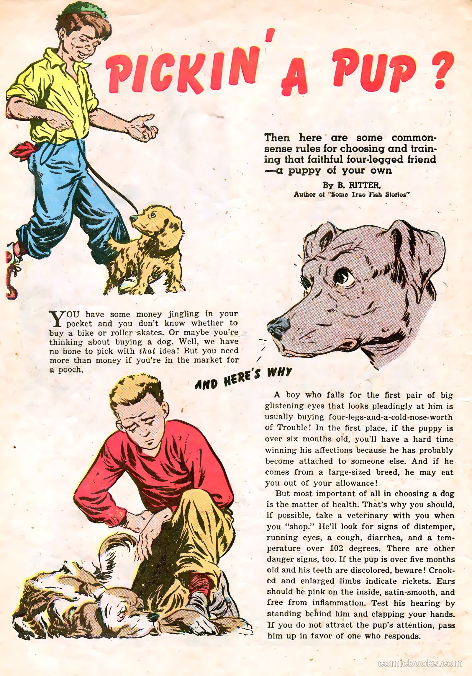 Calling All Boys #17 — page 10 of 36