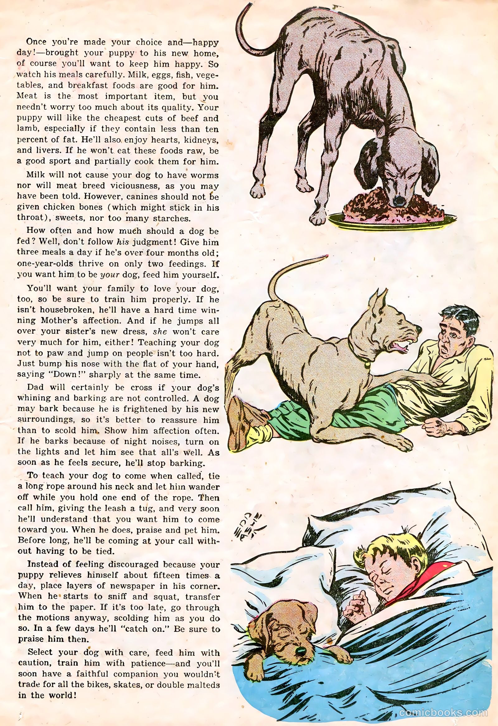 Calling All Boys #17 — page 11 of 36