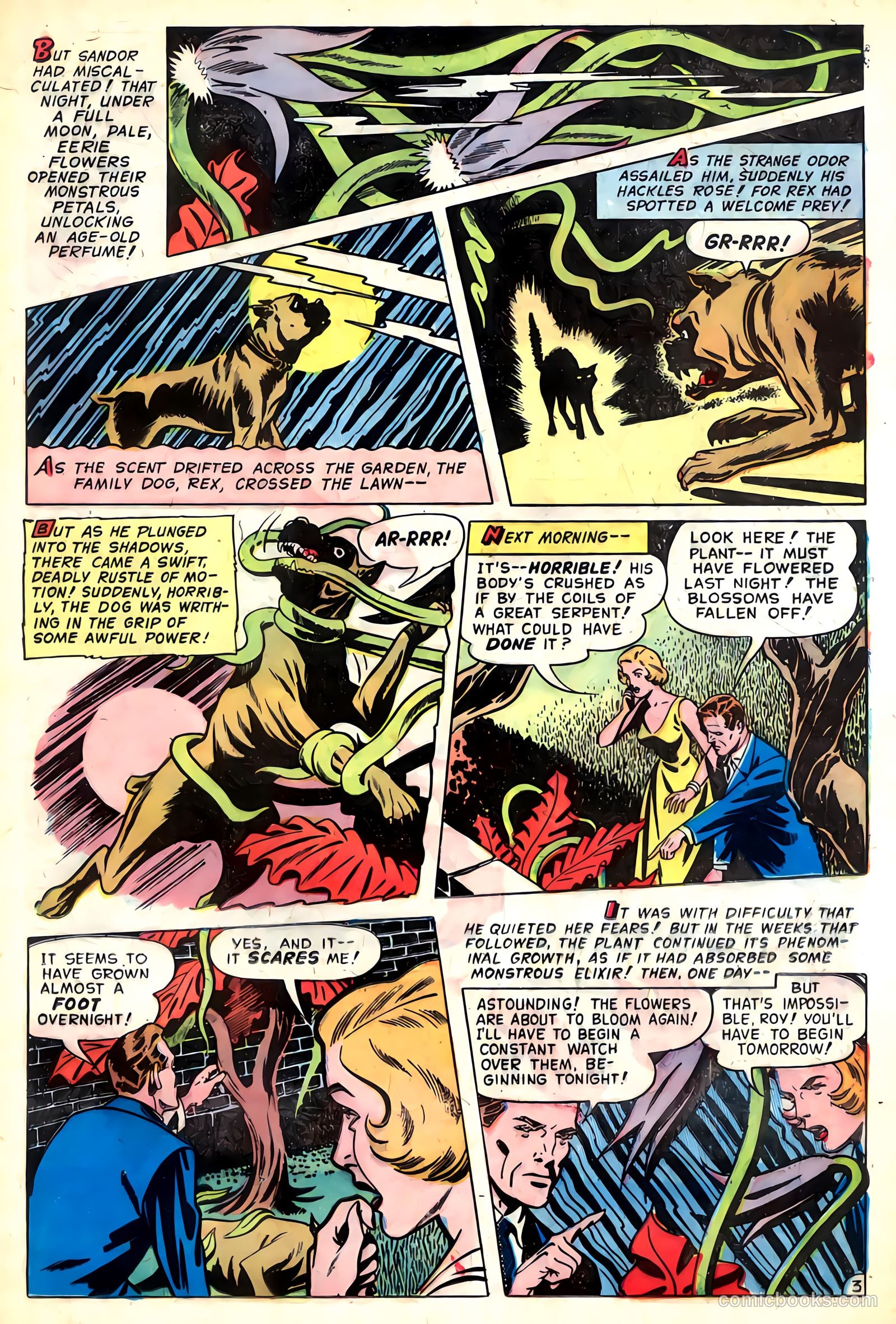 Adventures into the Unknown #48 — page 13 of 36