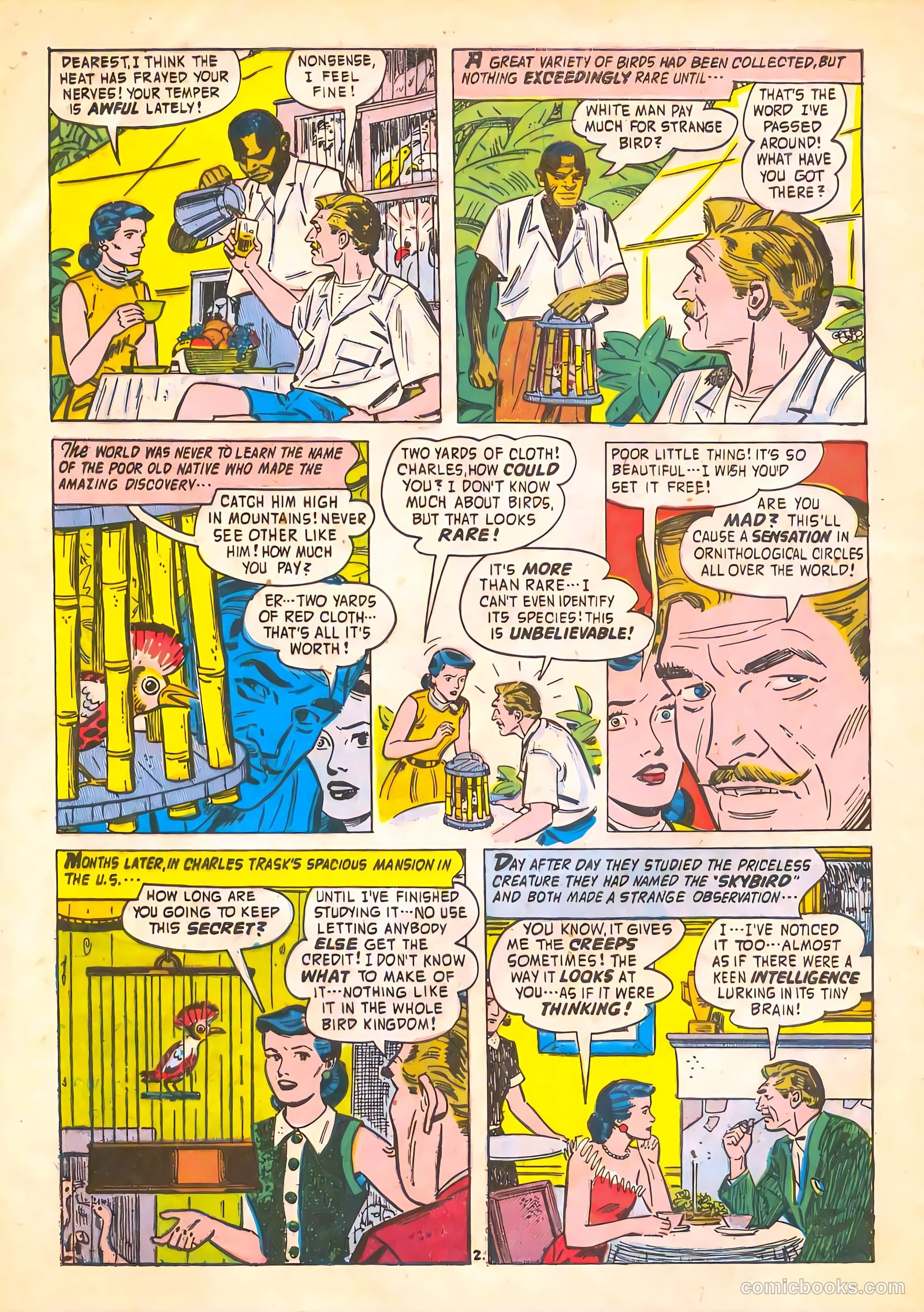 Adventures into the Unknown #69 — page 28 of 36