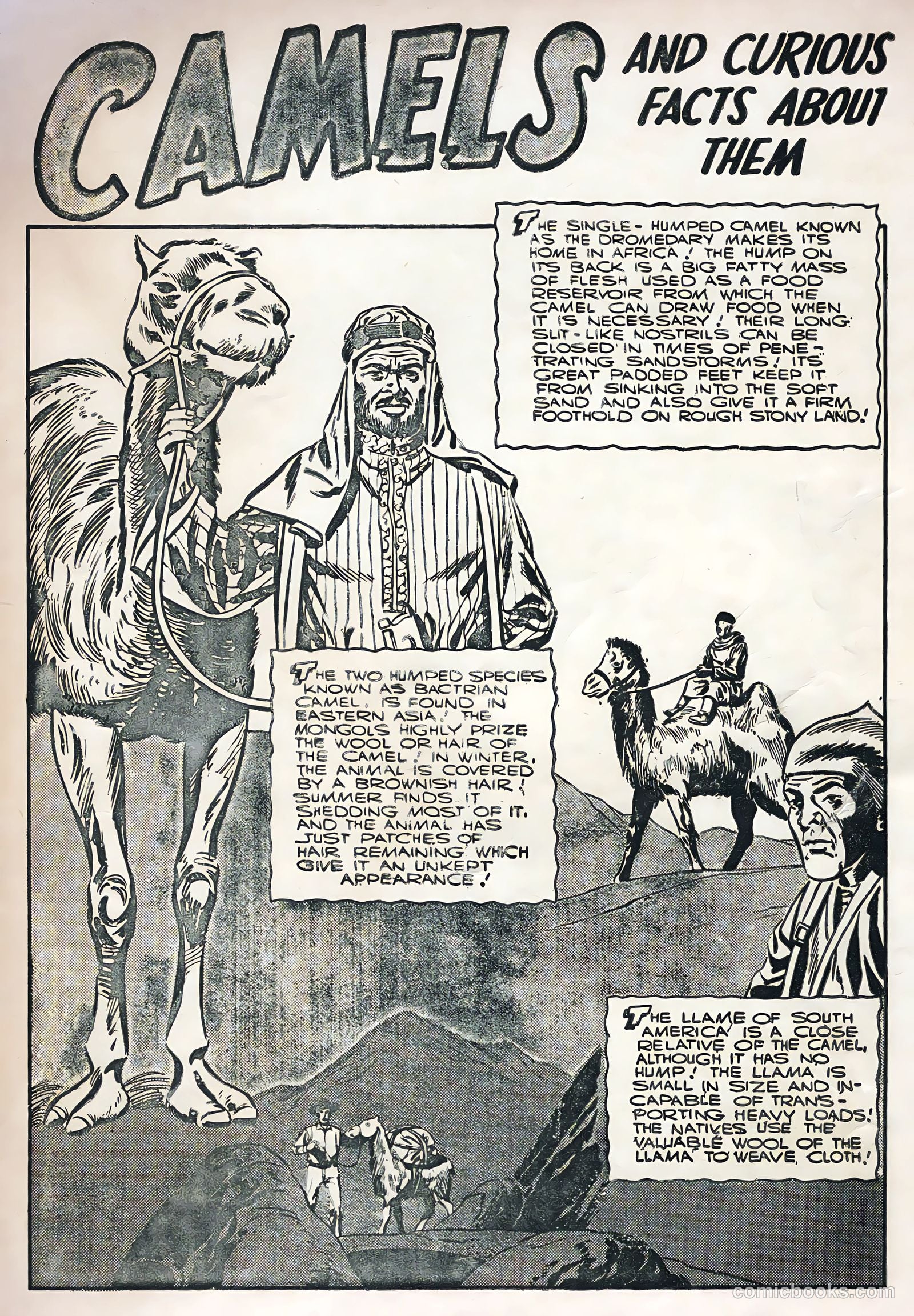 Captain Gallant #2 — page 35 of 36