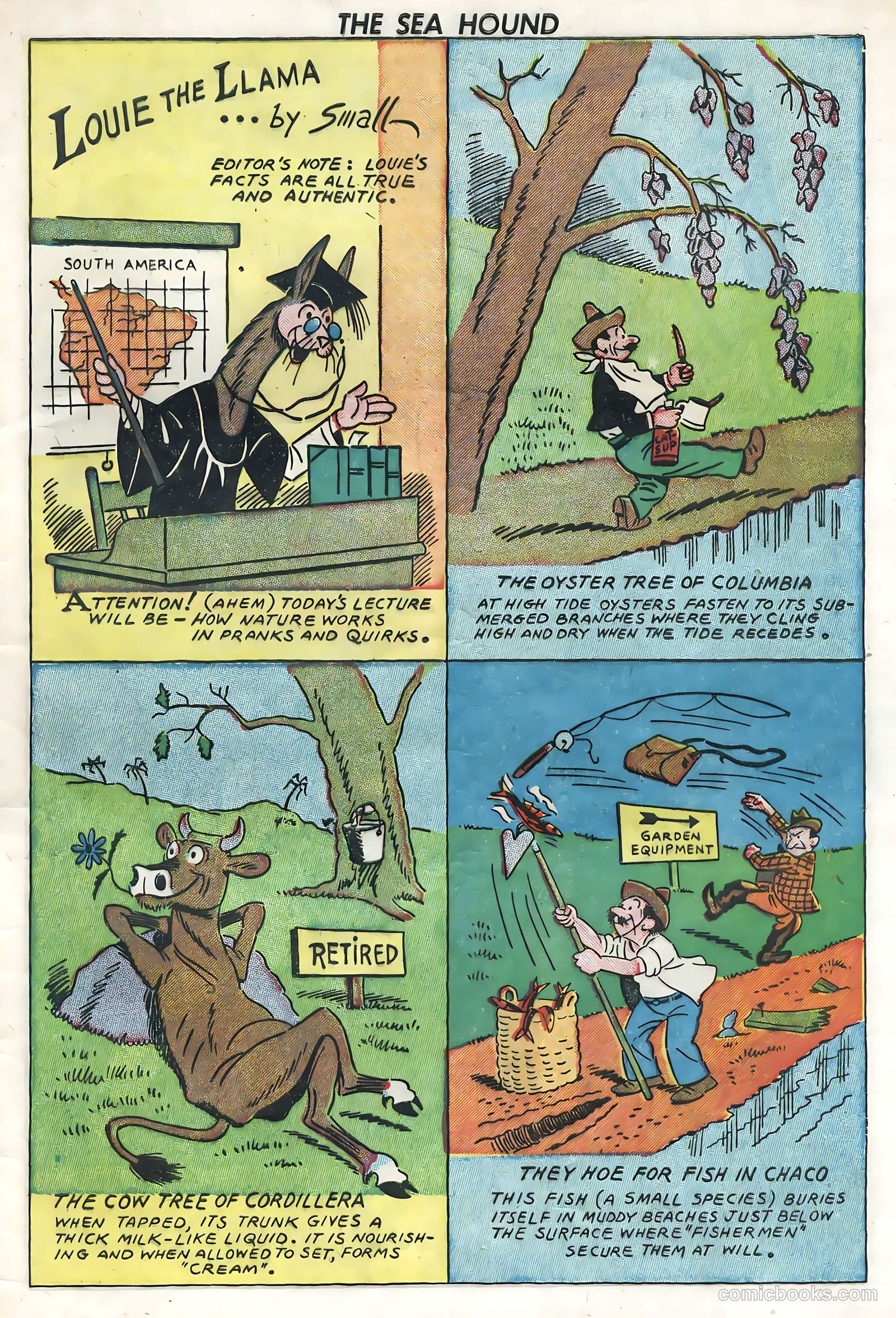 Captain Silver's Log of the Sea Hound #3 — page 32 of 35