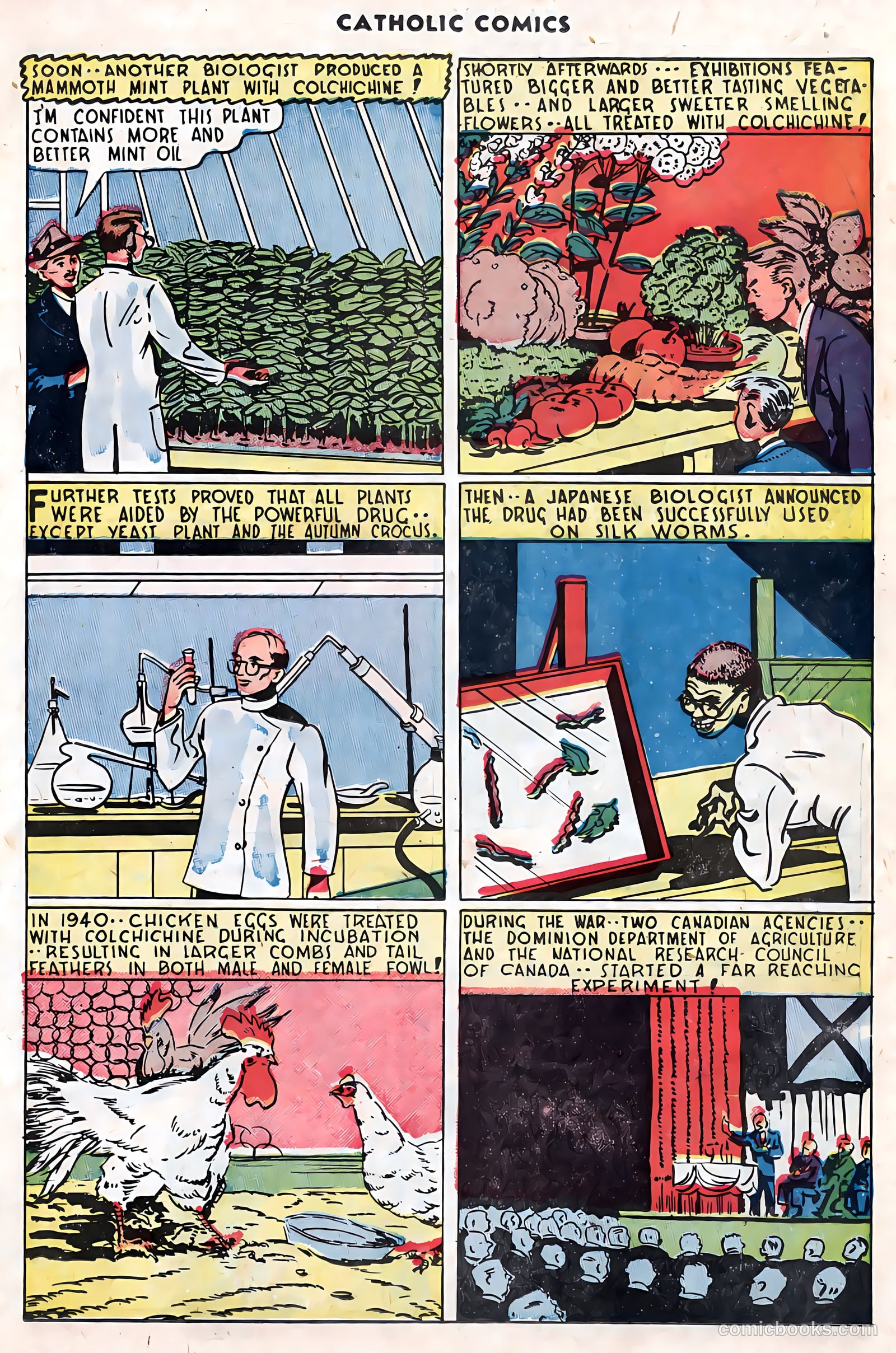 Catholic Comics #5 — page 28 of 35