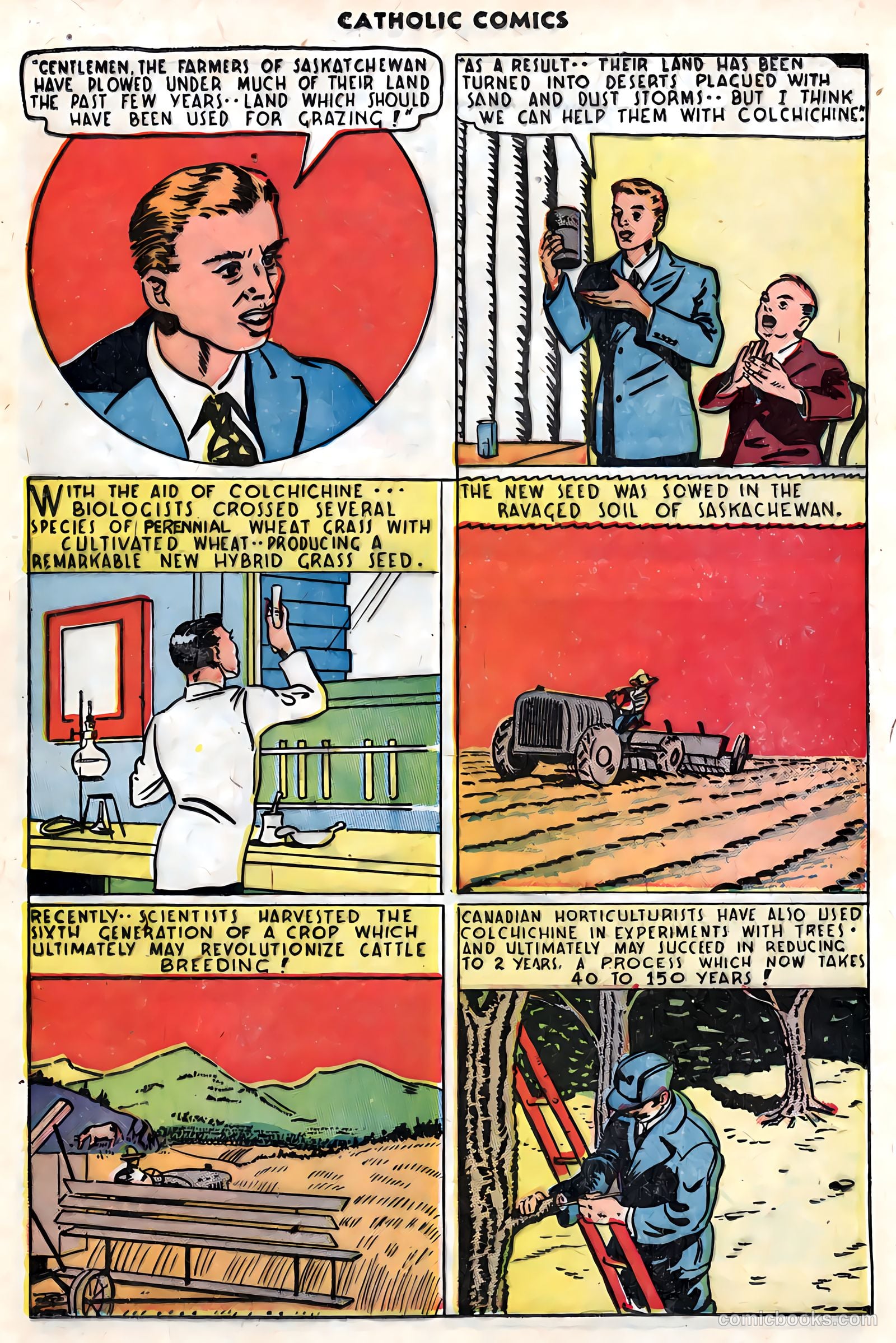 Catholic Comics #5 — page 29 of 35