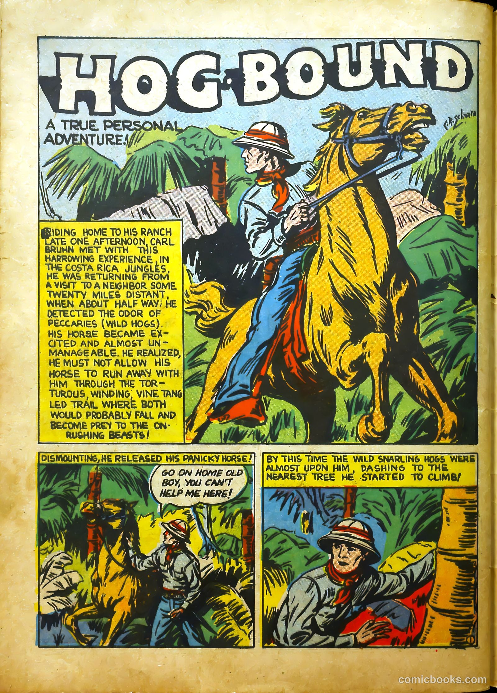Catman #19 — page 55 of 62