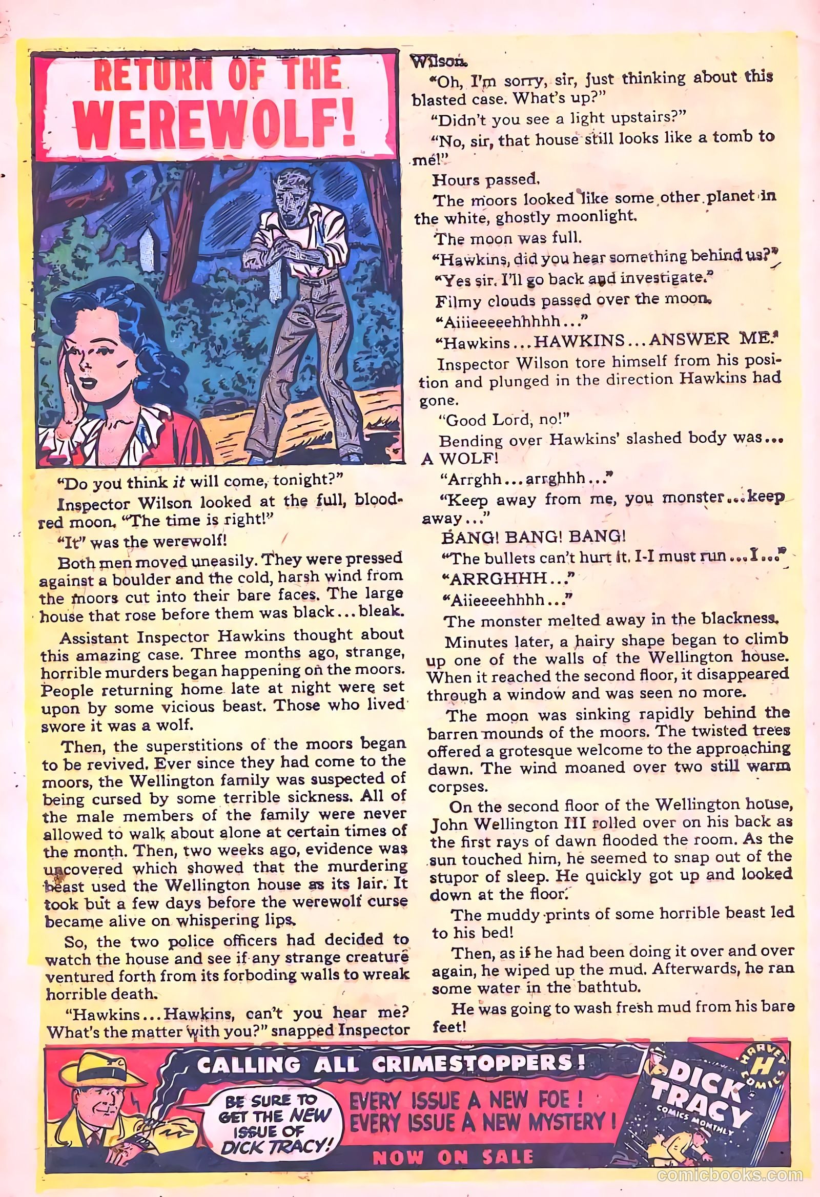Chamber of Chills #5 — page 32 of 36