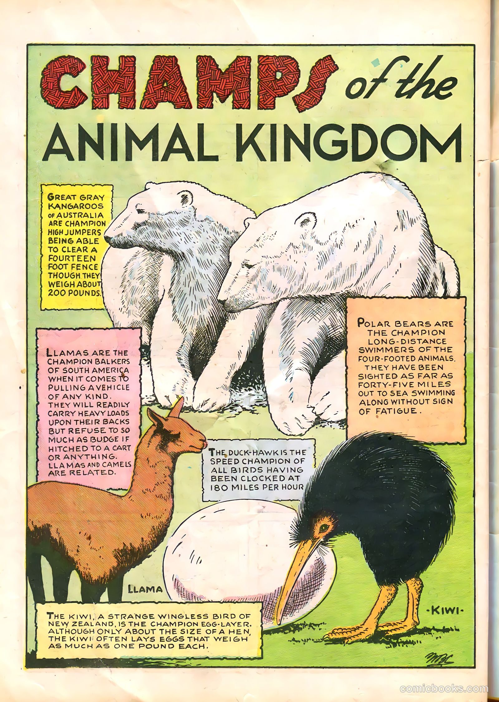 Champion Comics #2 — page 60 of 68
