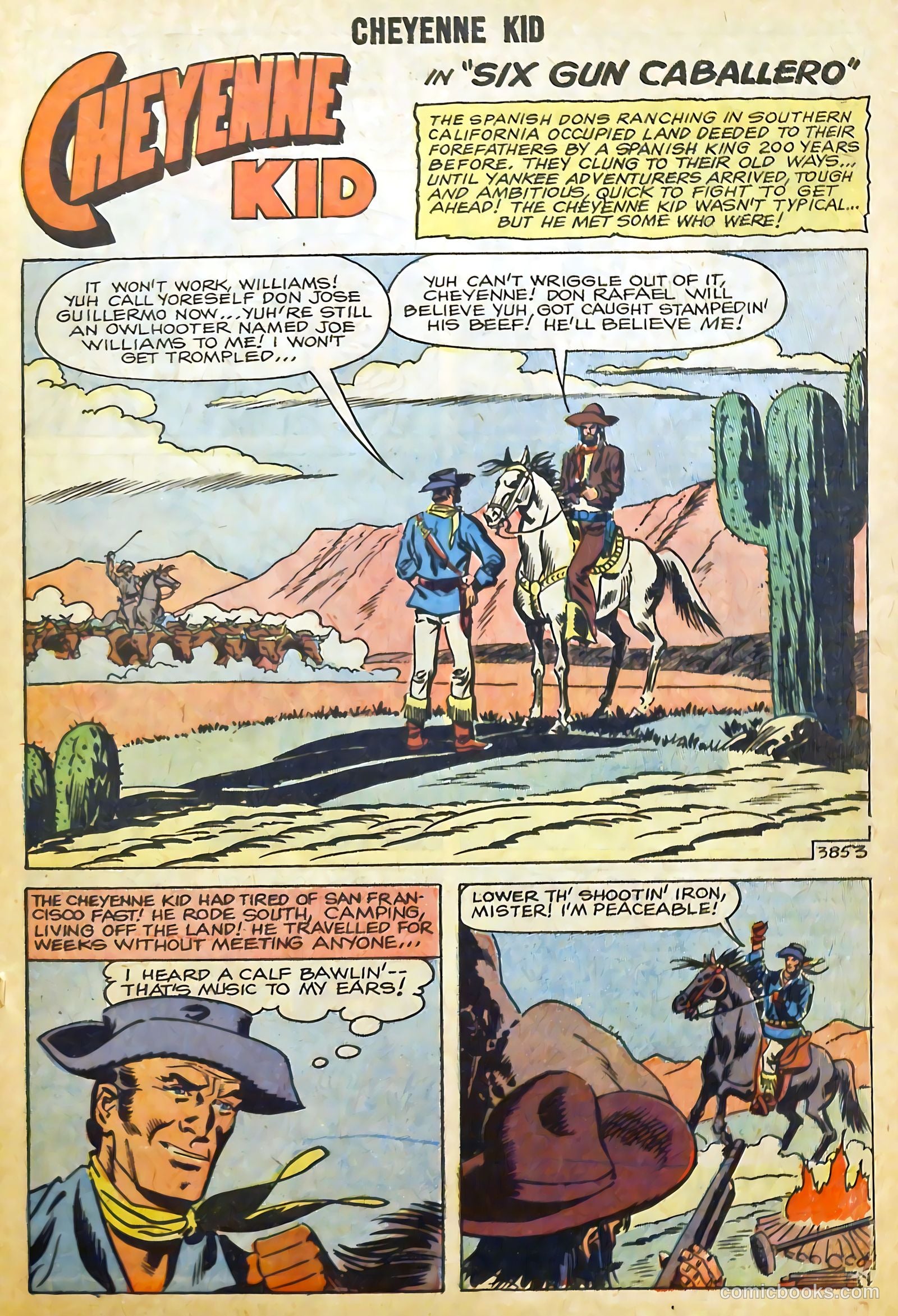 Cheyenne Kid #15 — page 27 of 36