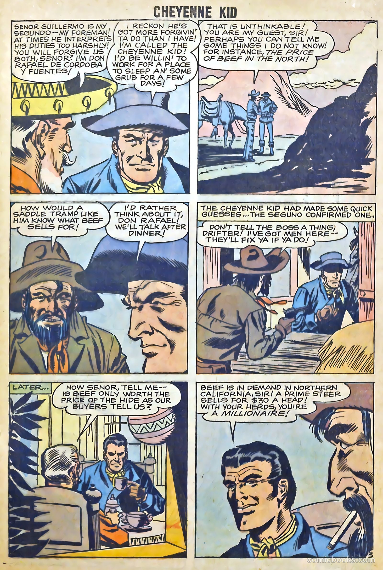 Cheyenne Kid #15 — page 29 of 36
